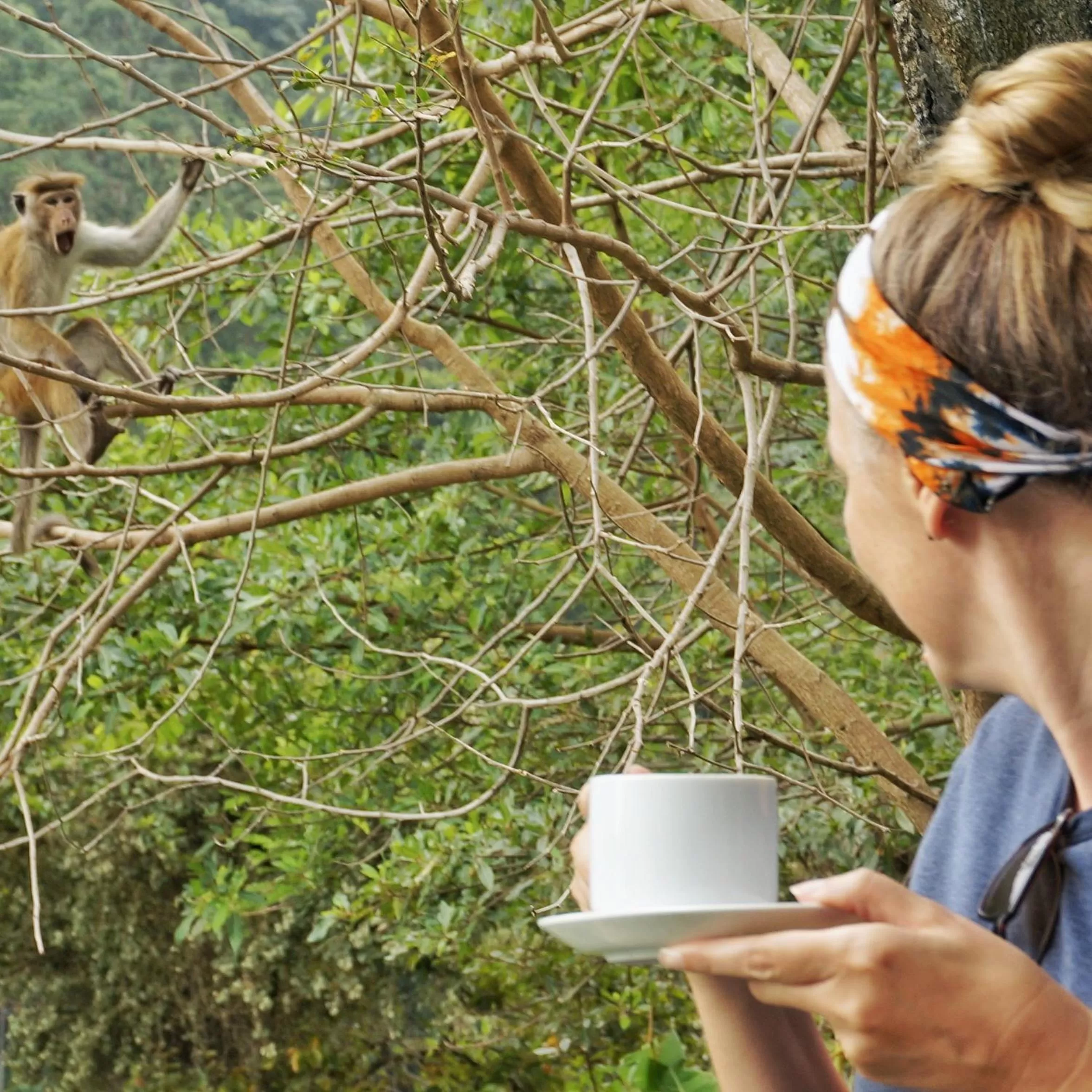 Other Animals in Ella Lucky Panoramic