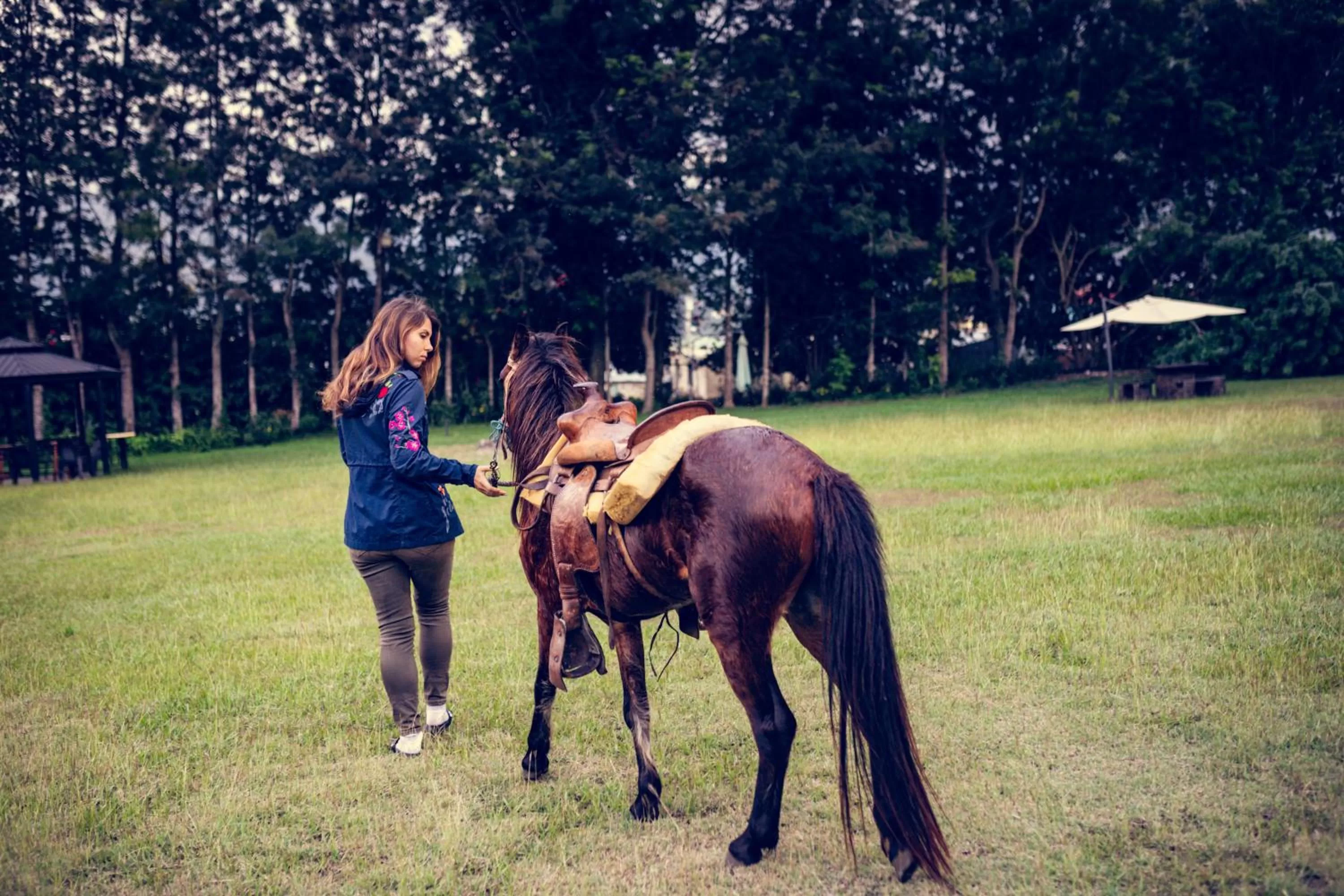 Horse-riding in Hotel Rancho Constanza & Cabañas de la Montaña