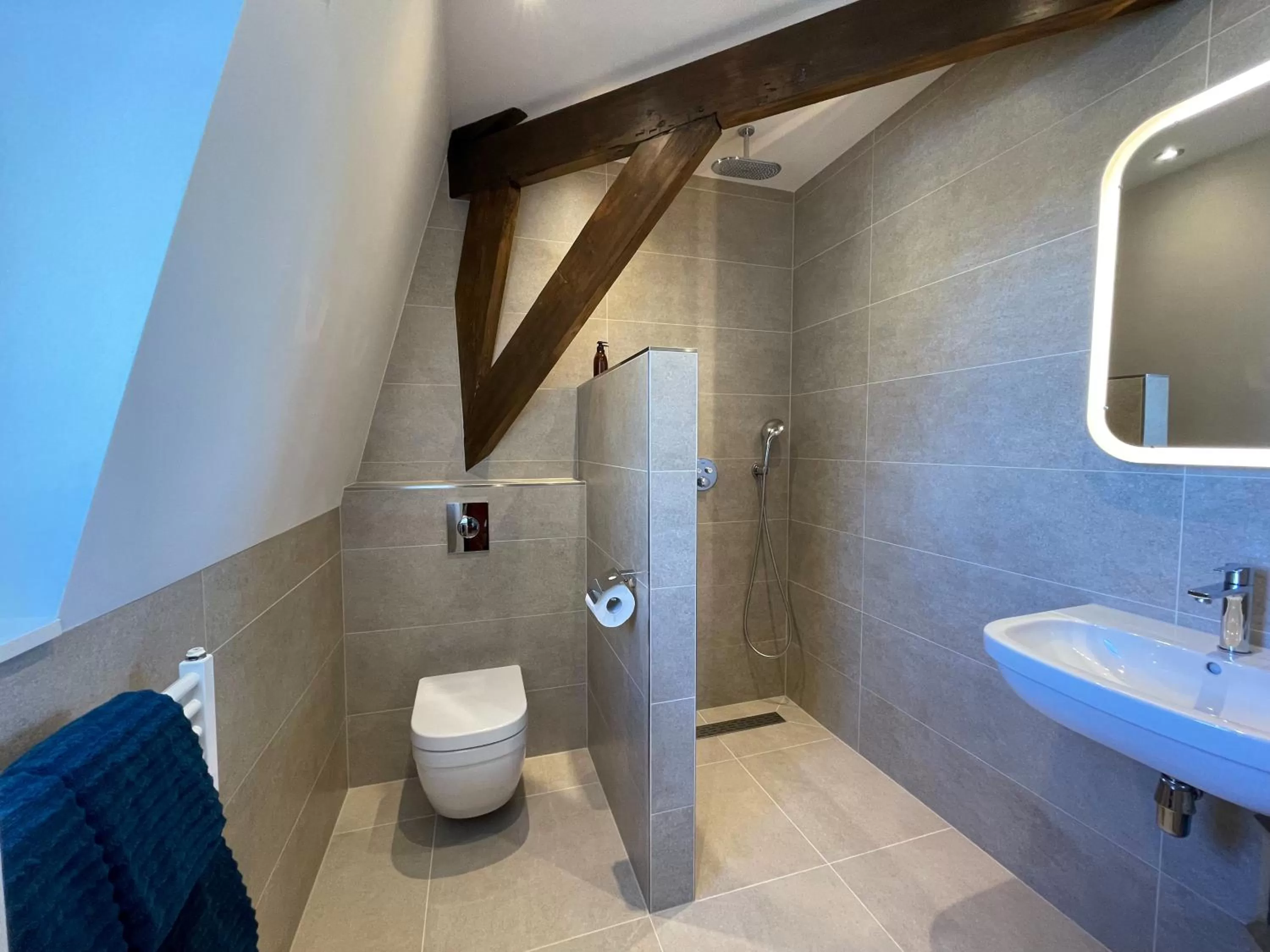 Bathroom in BnB 't Ambacht - Boutique Hotel