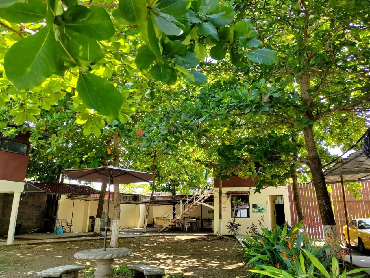 Patio in Hotel Catappa