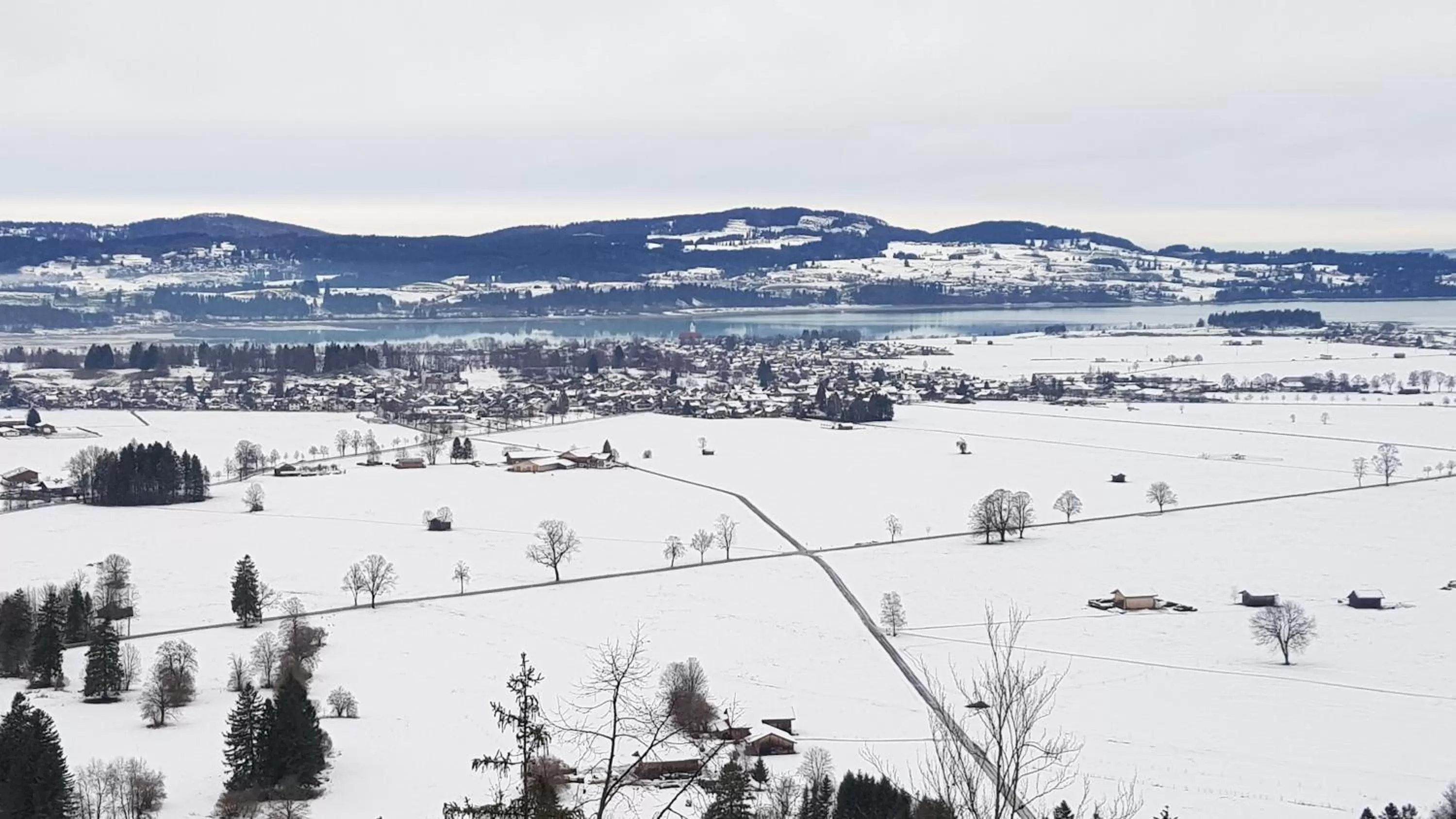 Mountain view in City House Alpeneck