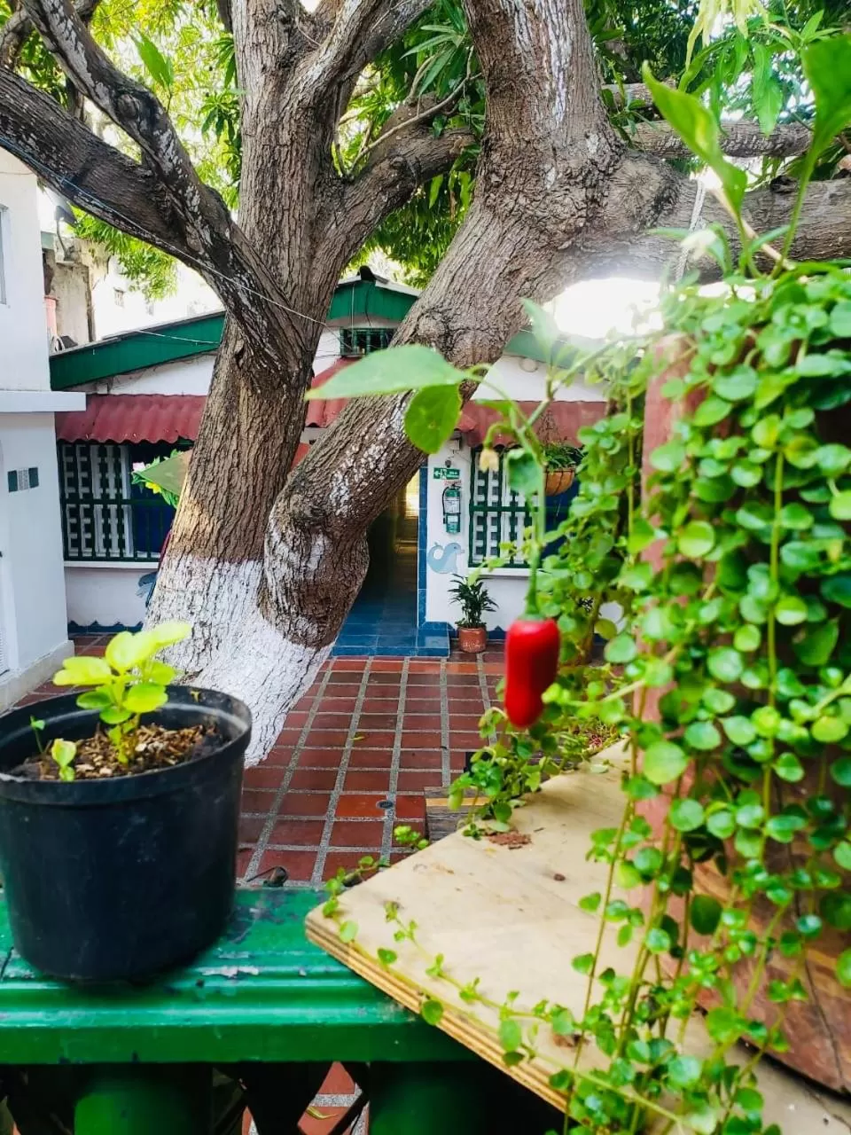 Tita’s Airport Hotel