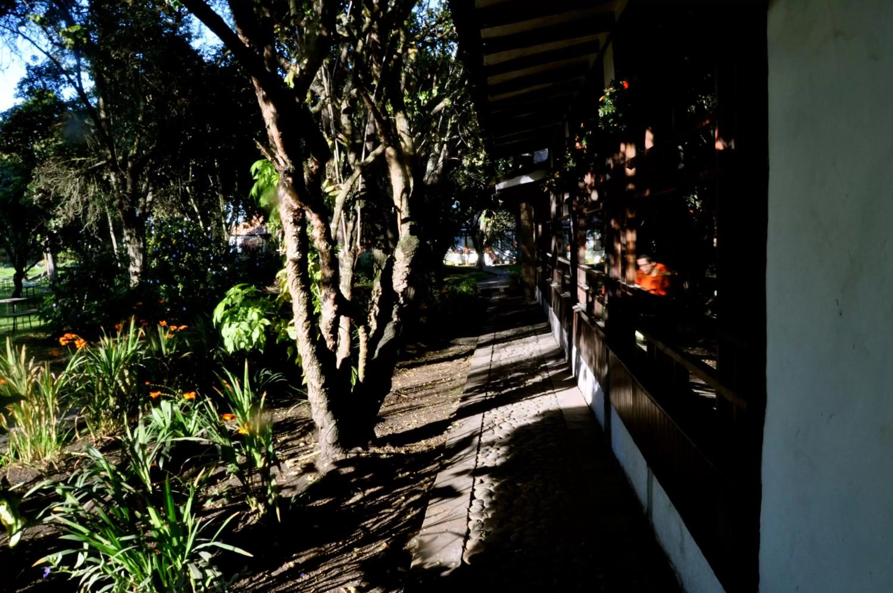Facade/entrance in Posada Cafe La Huerta