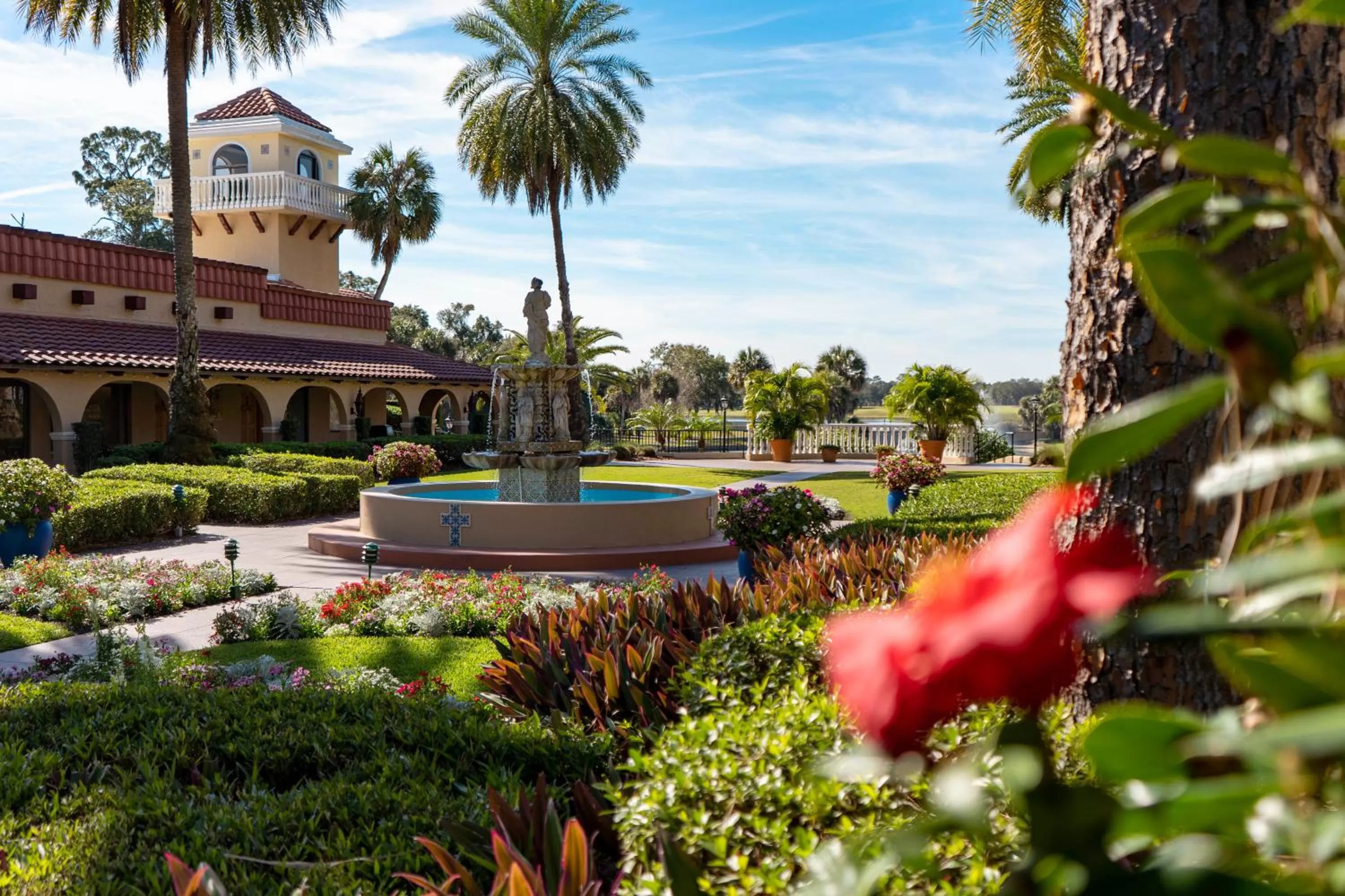 Natural landscape in Mission Resort and Club
