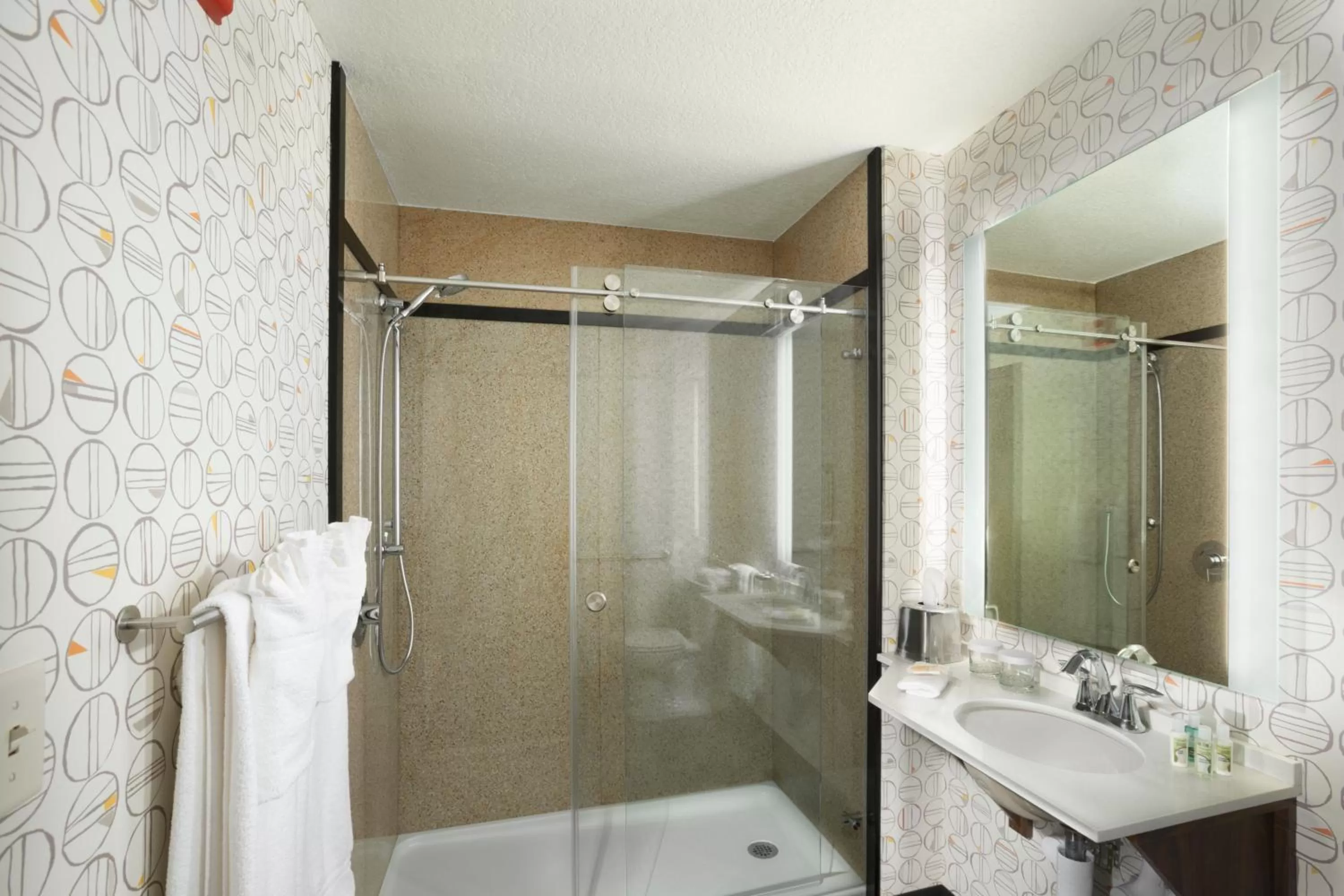 Bathroom in Holiday Inn Asheville East-Blue Ridge Pkwy by IHG