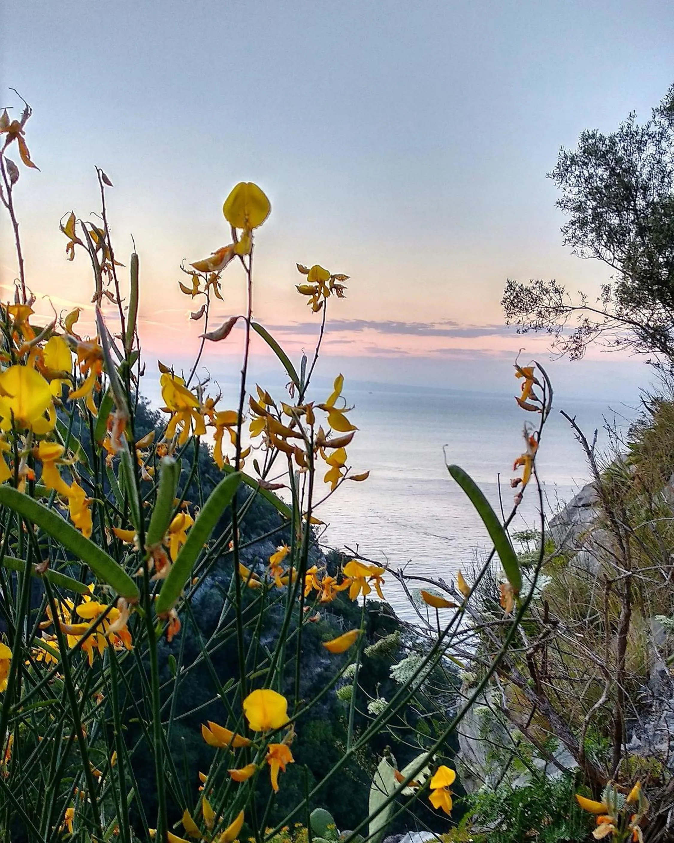 Day in Hotel Desiree