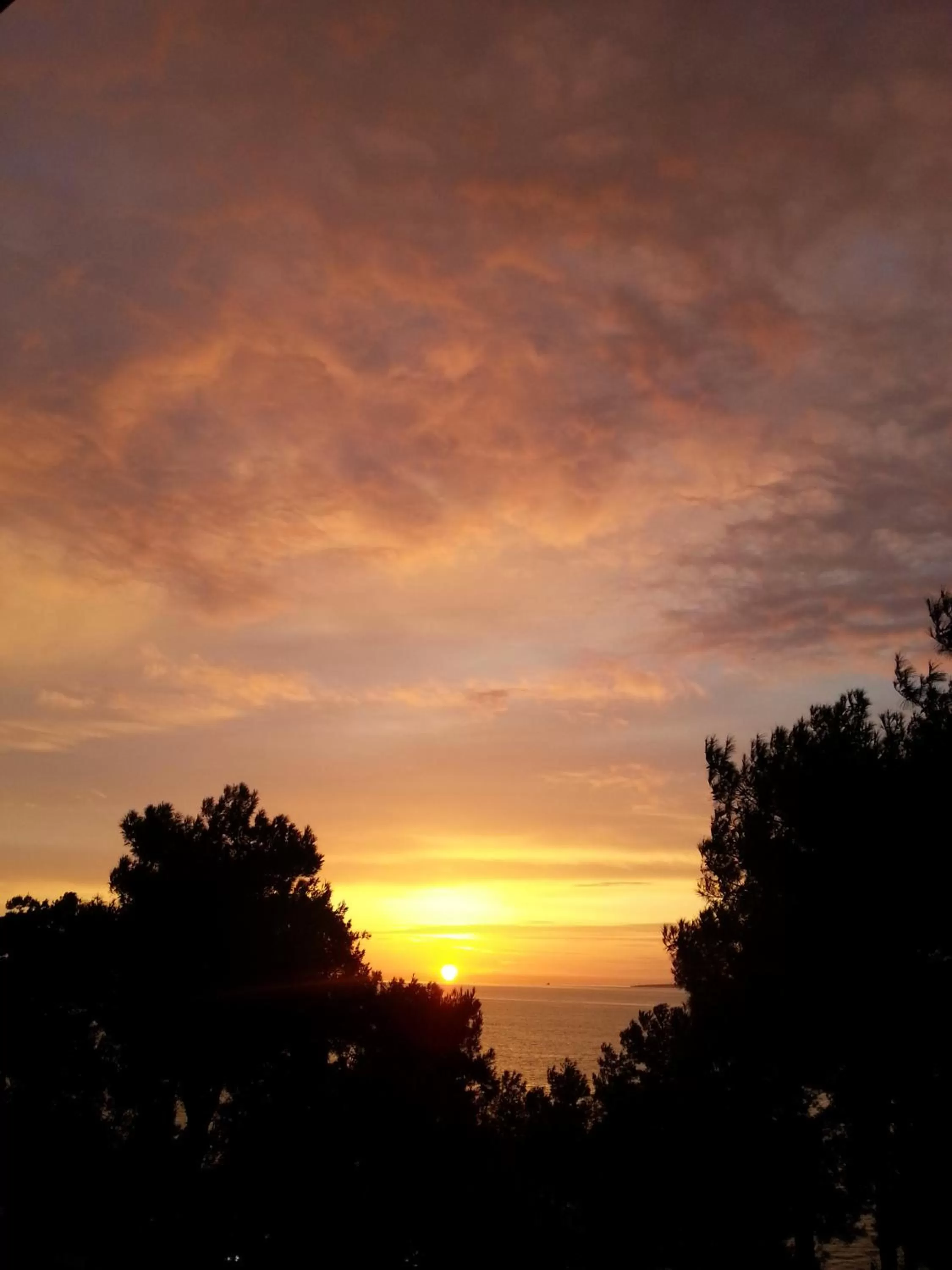 View (from property/room) in Troia Tusan Hotel