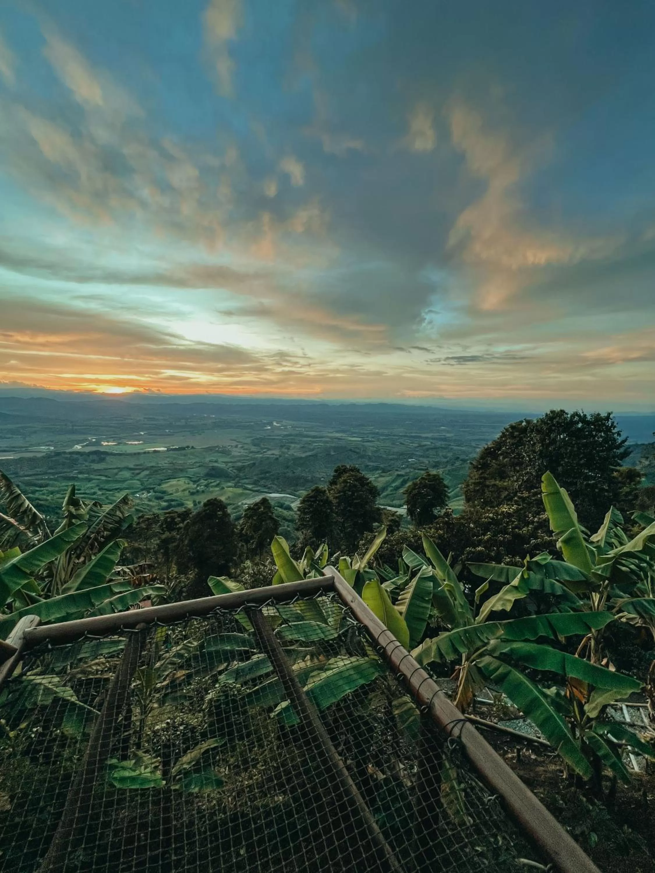 Garden in La Cima Eco Hotel