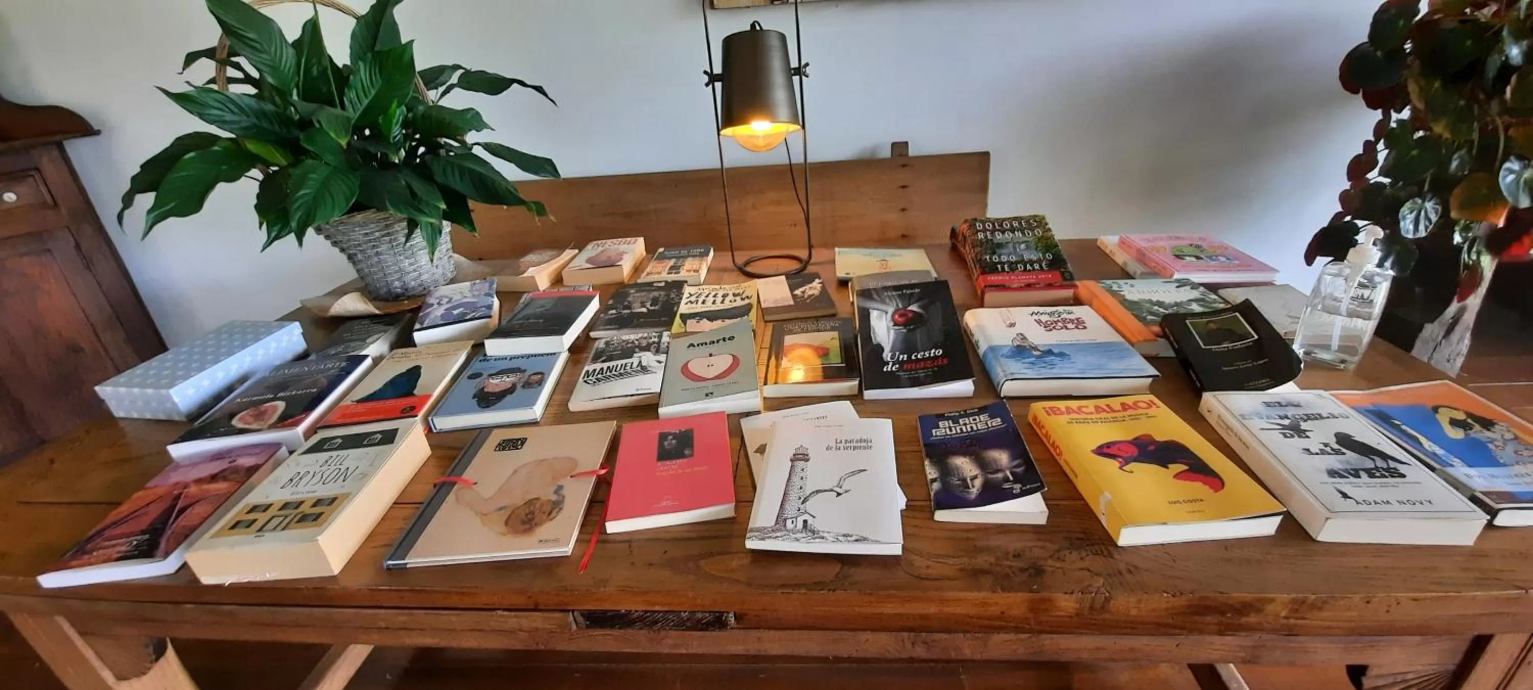 Library in Rectoral de Anllo