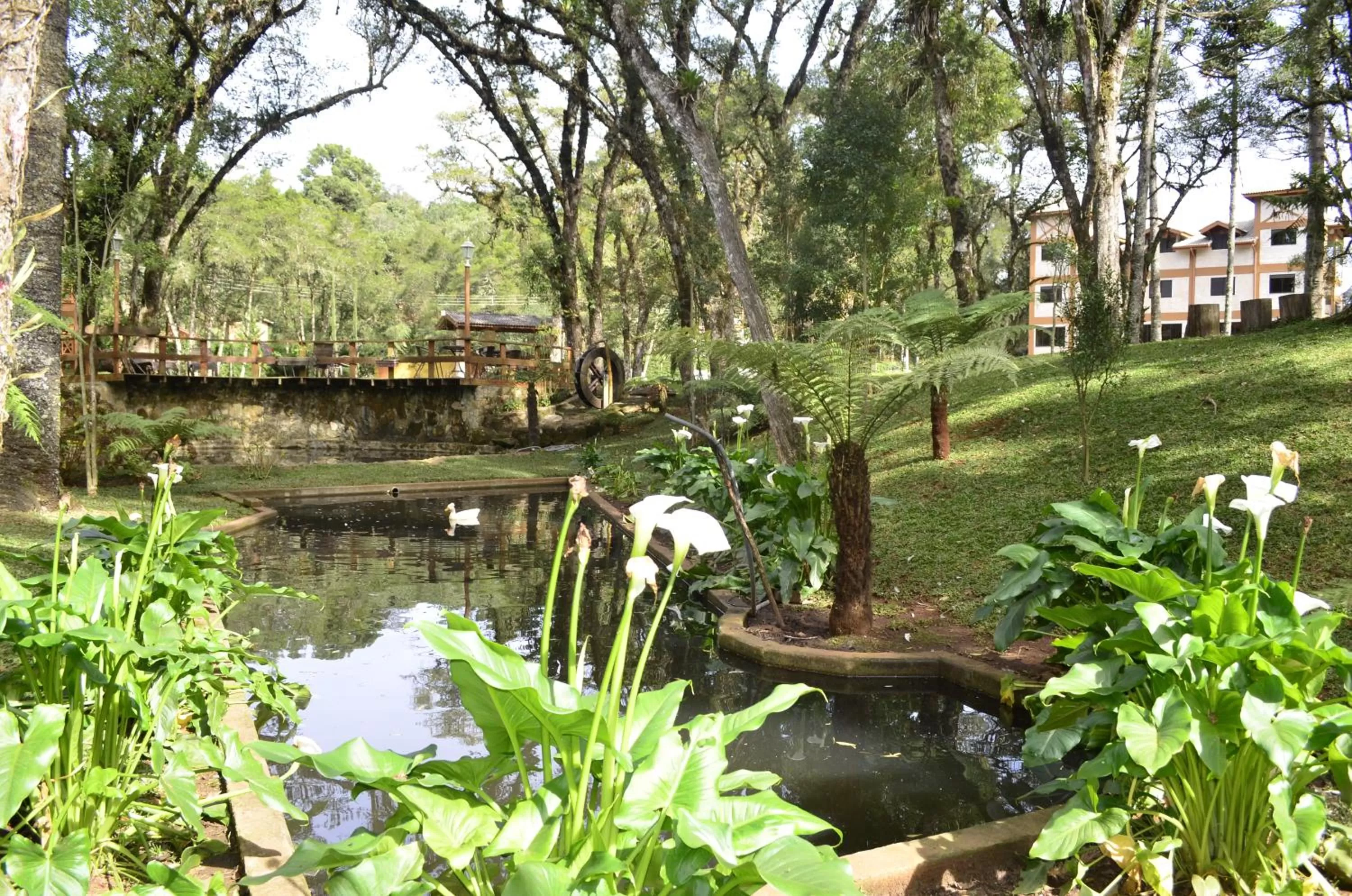 View (from property/room) in Pousada Toca Da Coruja