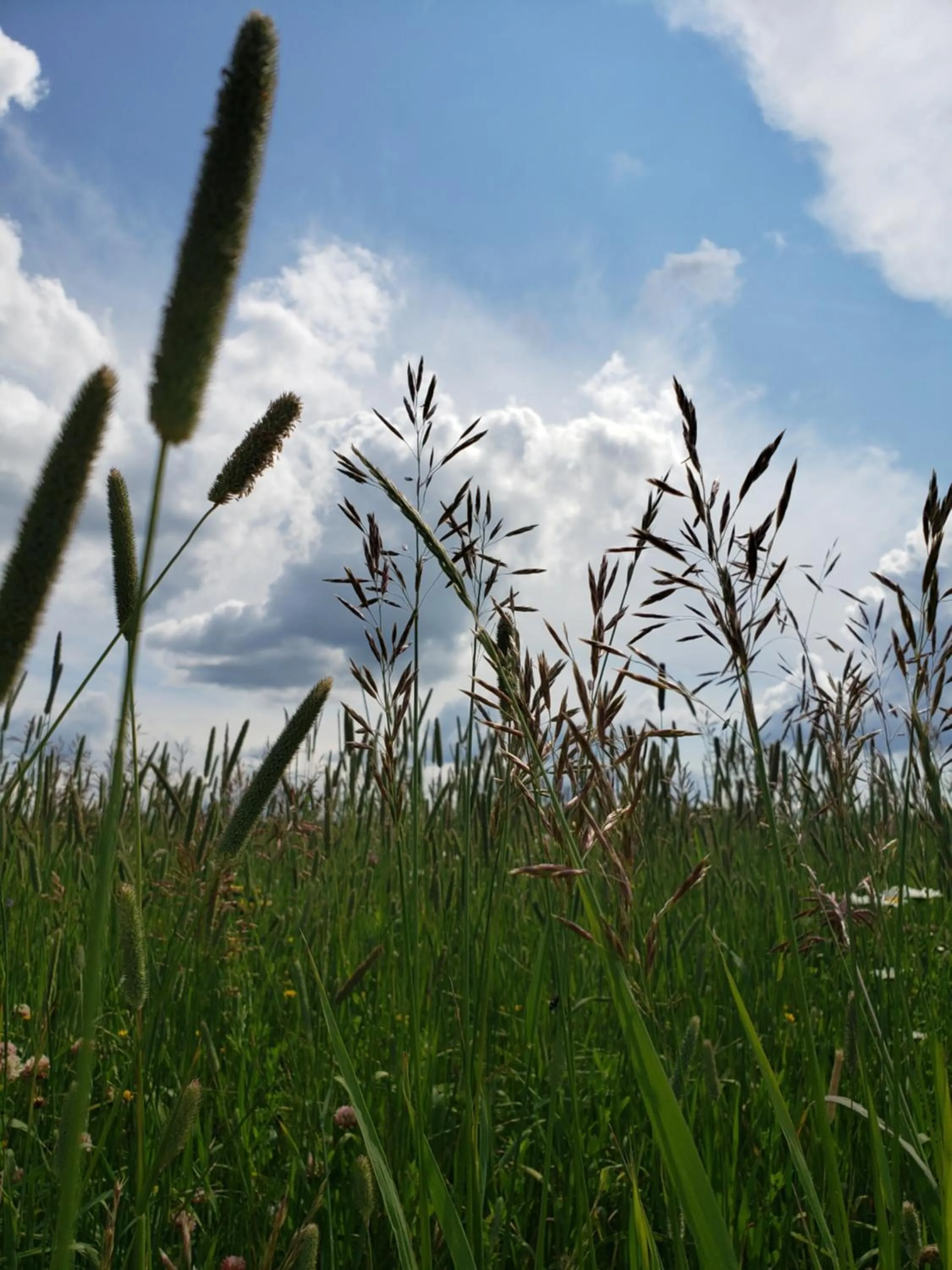 Natural landscape in Woodhouse Cottages And Ranch