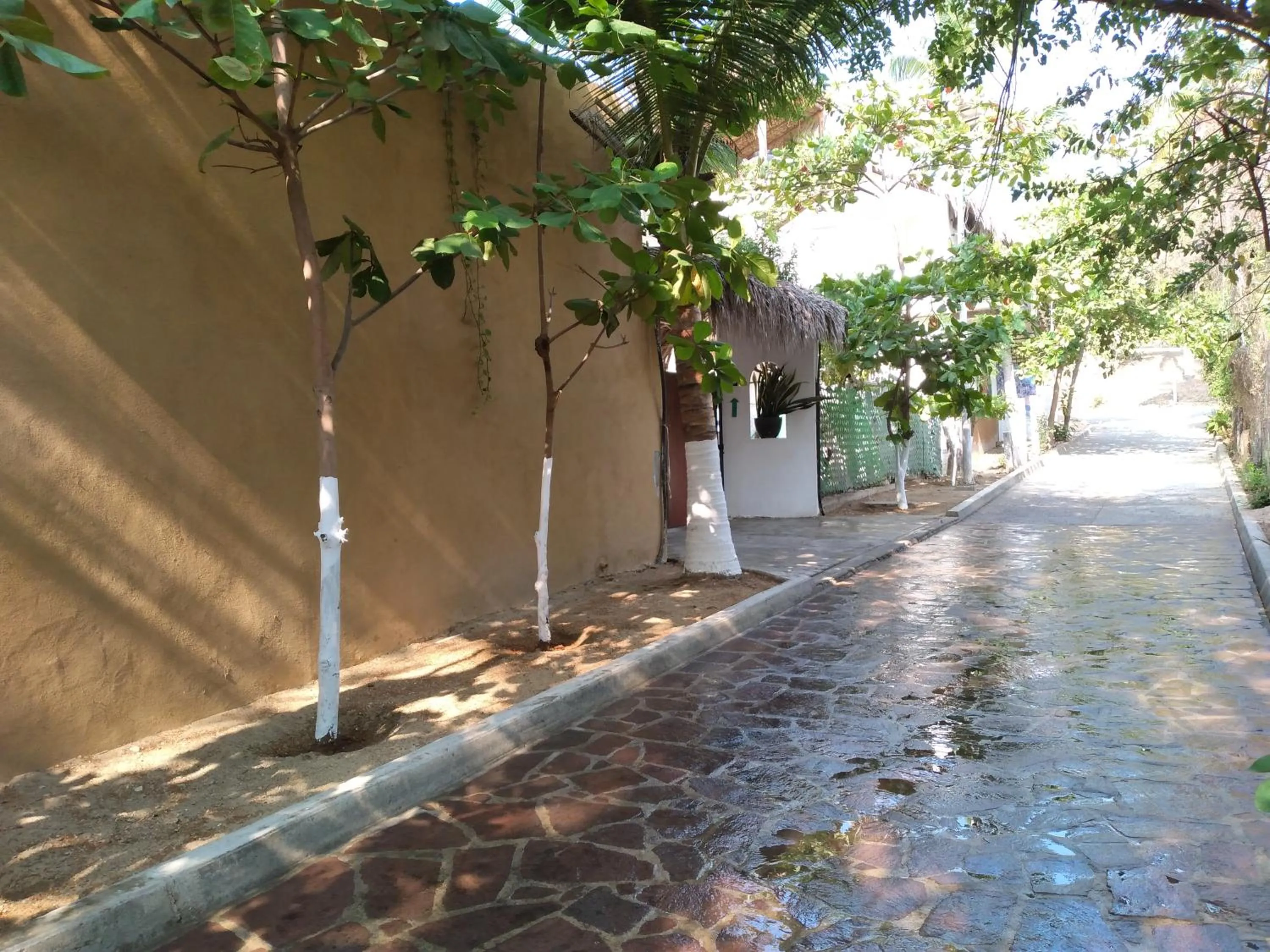 Facade/entrance in Casa Mazunte Tierra Viva