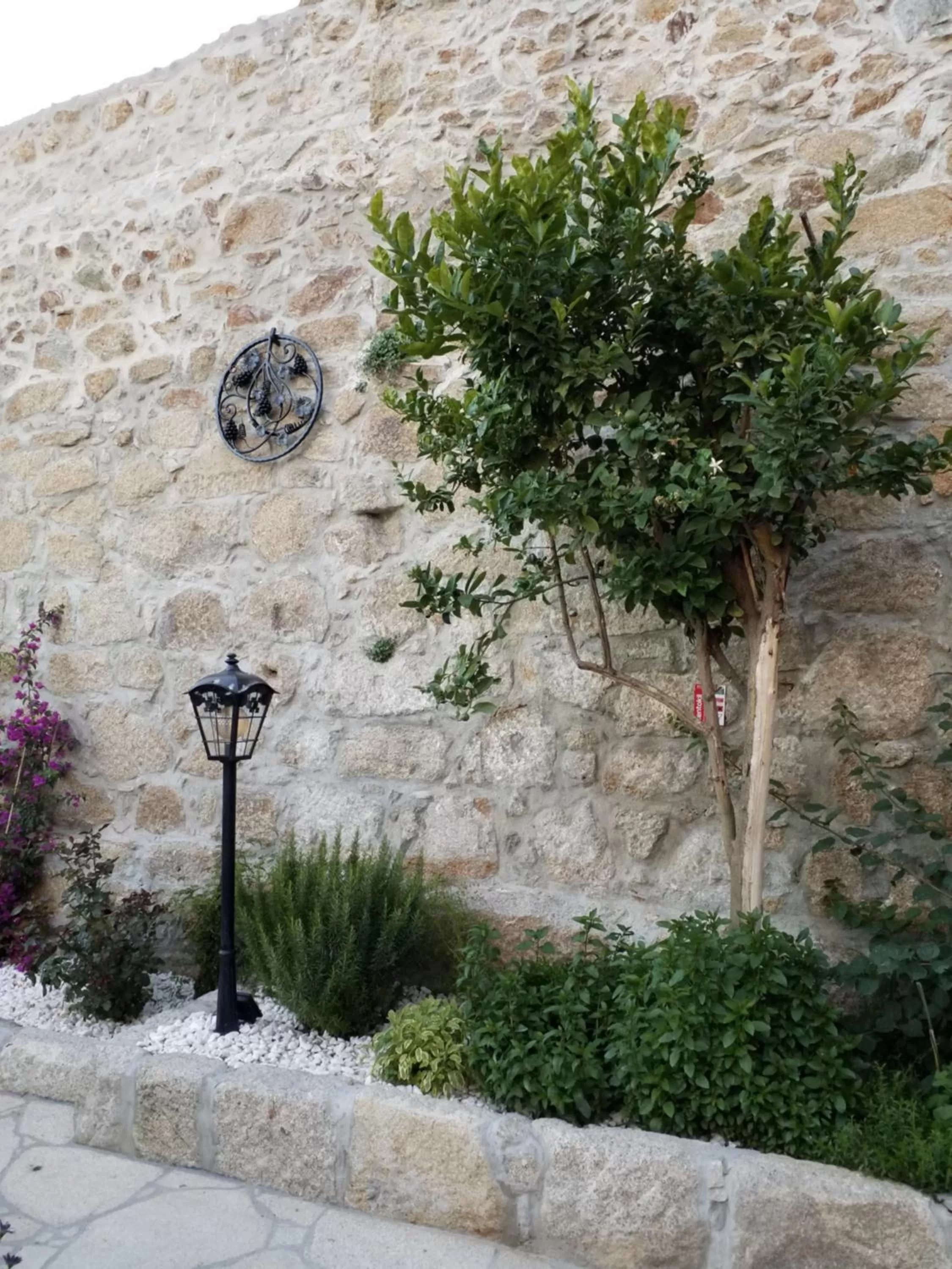 Garden in Private Villa Porto