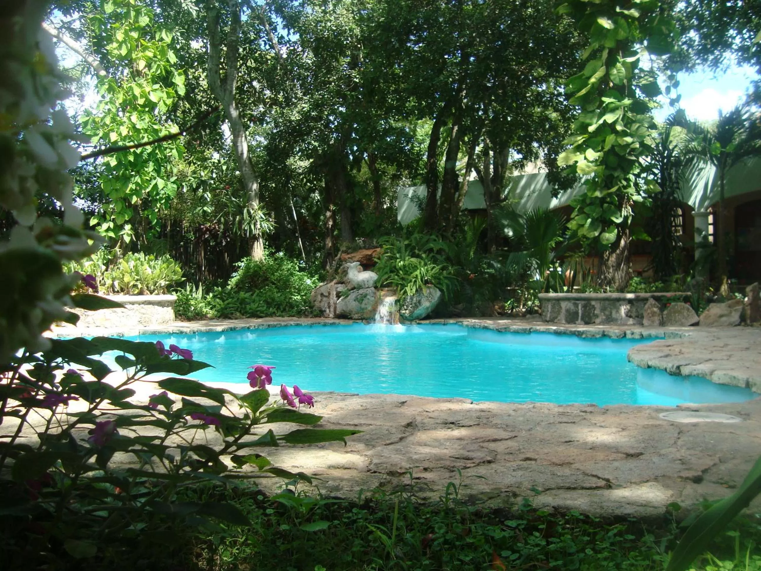 Swimming pool in Casa Quetzal Hotel