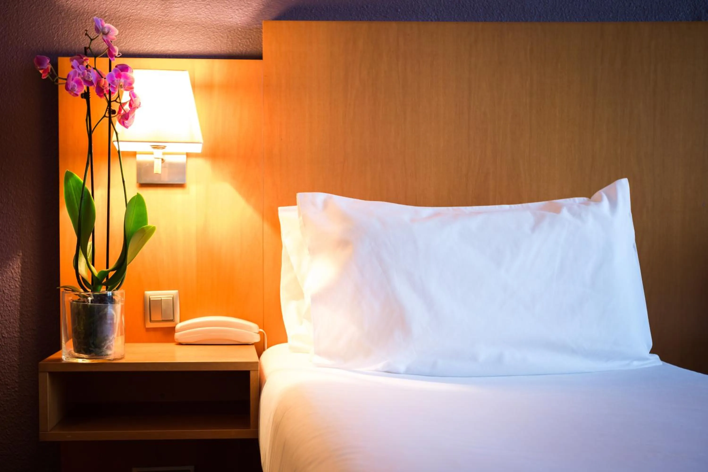 Decorative detail, Bed in Hôtel Christina Lourdes