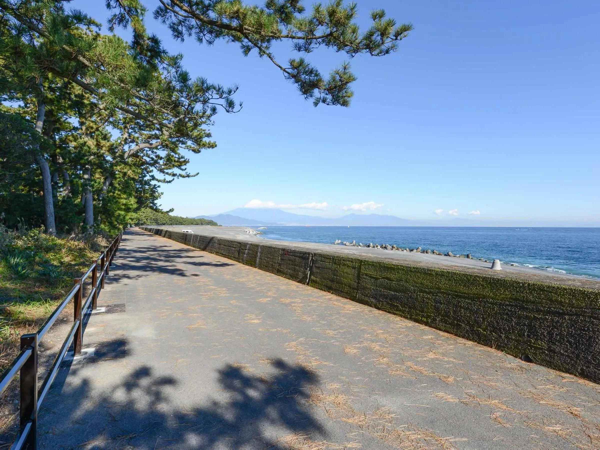 Off site in Hotel Hagoromo