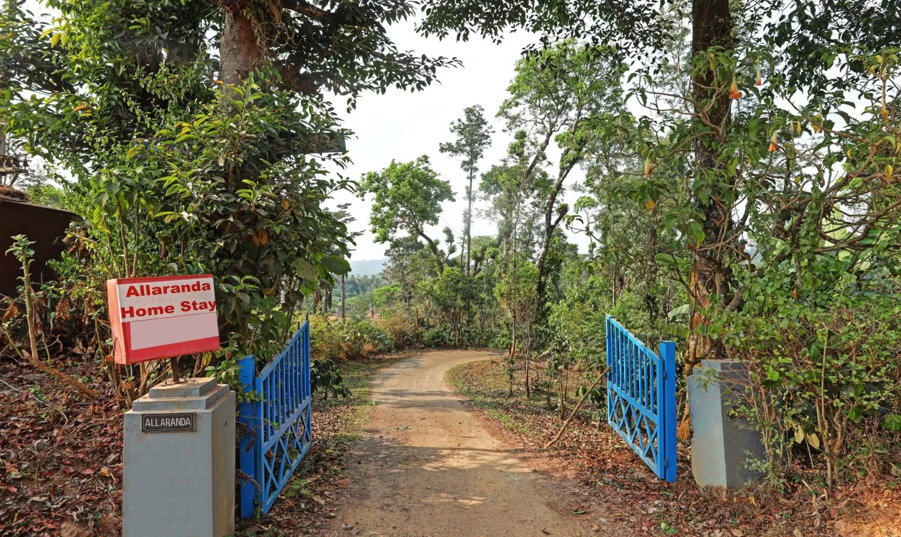 Street view in Hotel Allaranda Homestay