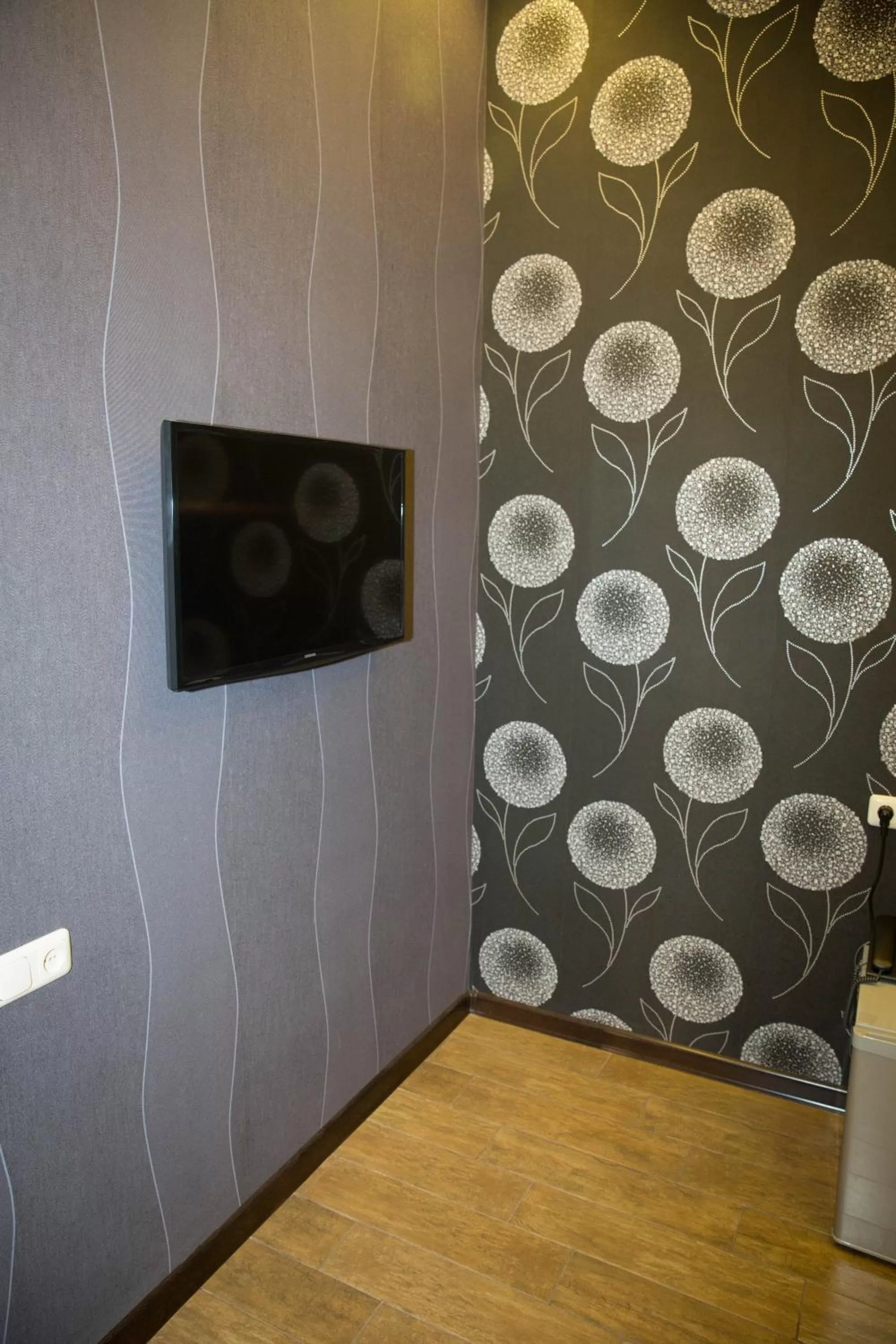 Decorative detail, TV/Entertainment Center in Eridana Hotel