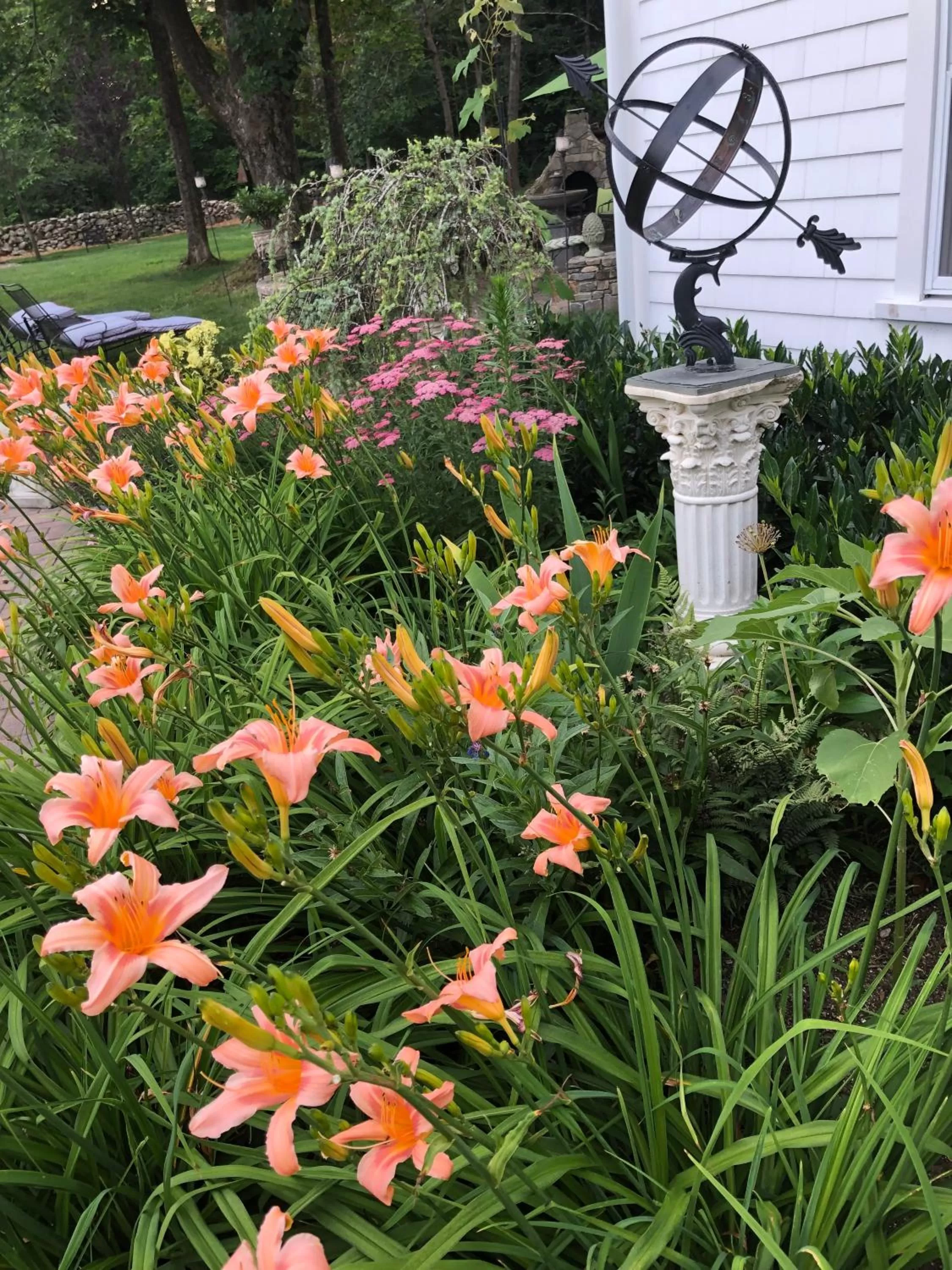 Other, Garden in Silvershell Inn