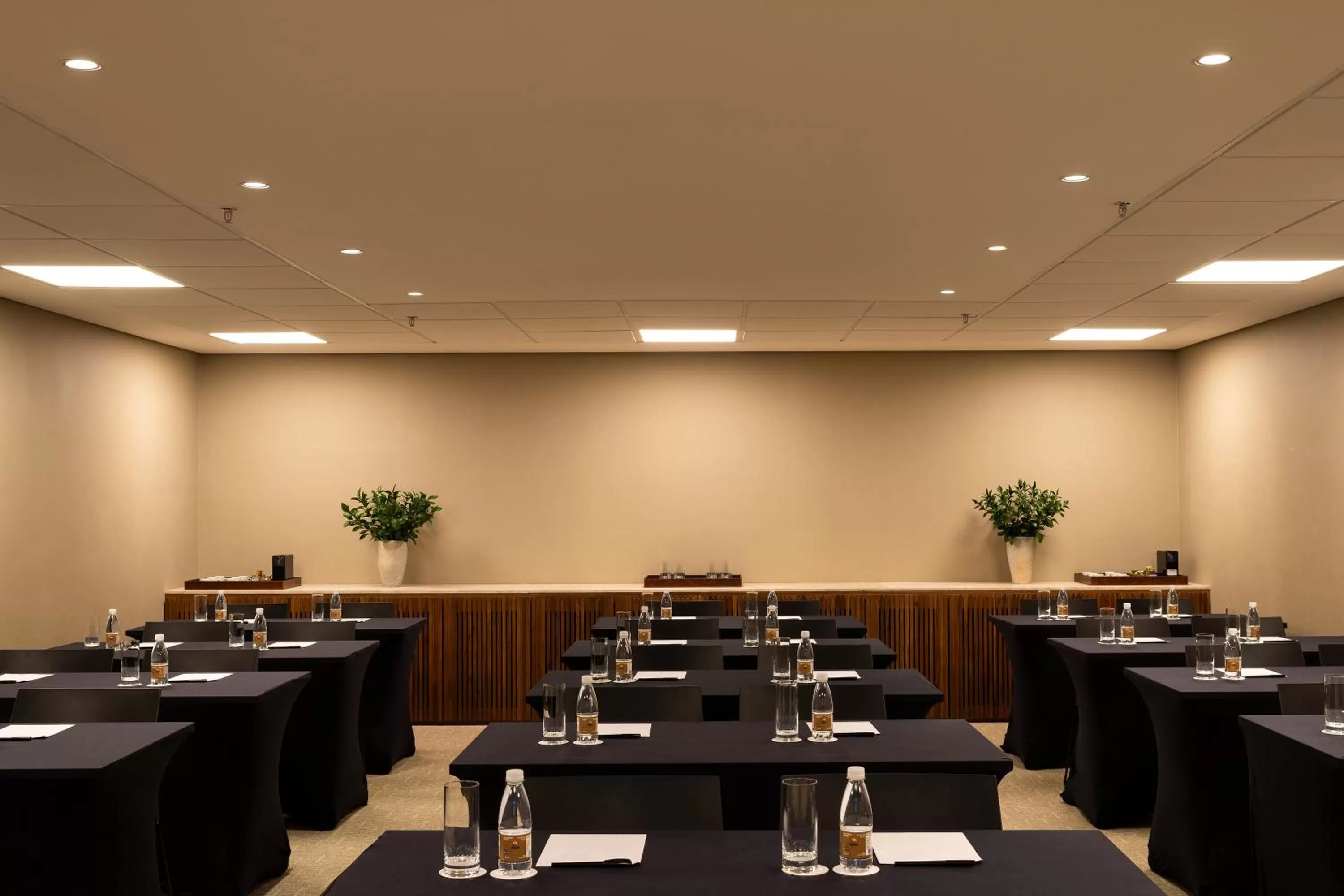 Meeting/conference room in Hotel Fasano Belo Horizonte