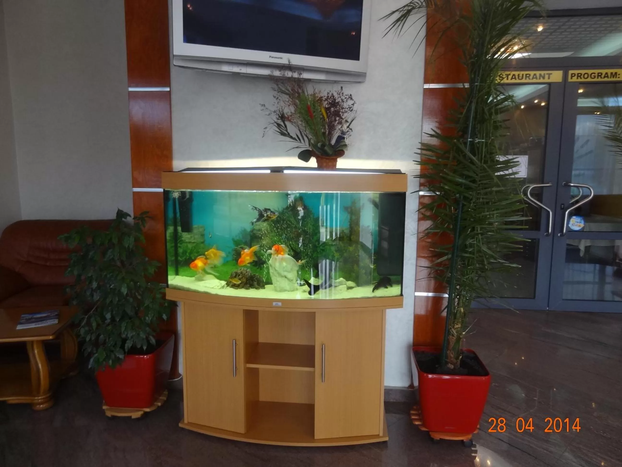 Lobby or reception in Hotel Emma West