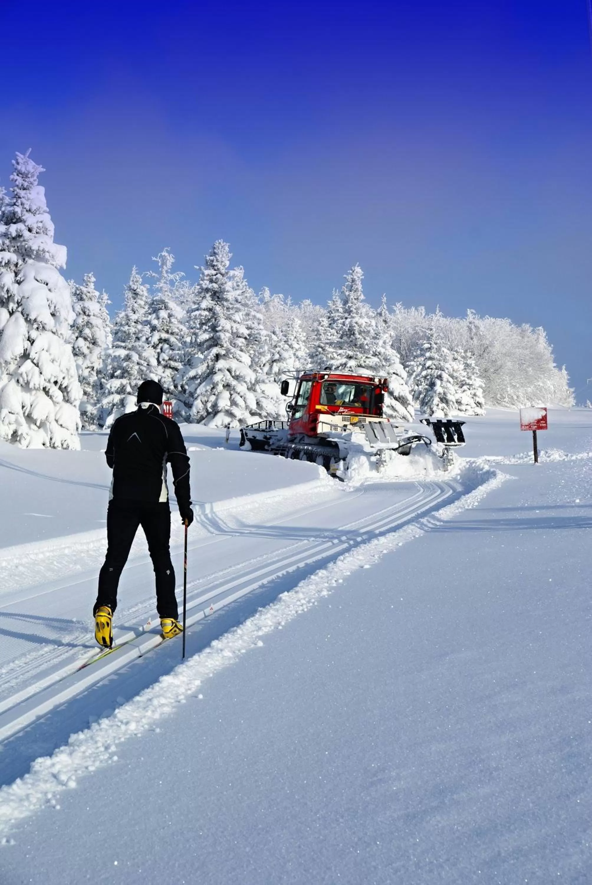 Skiing in Hotel Emeran