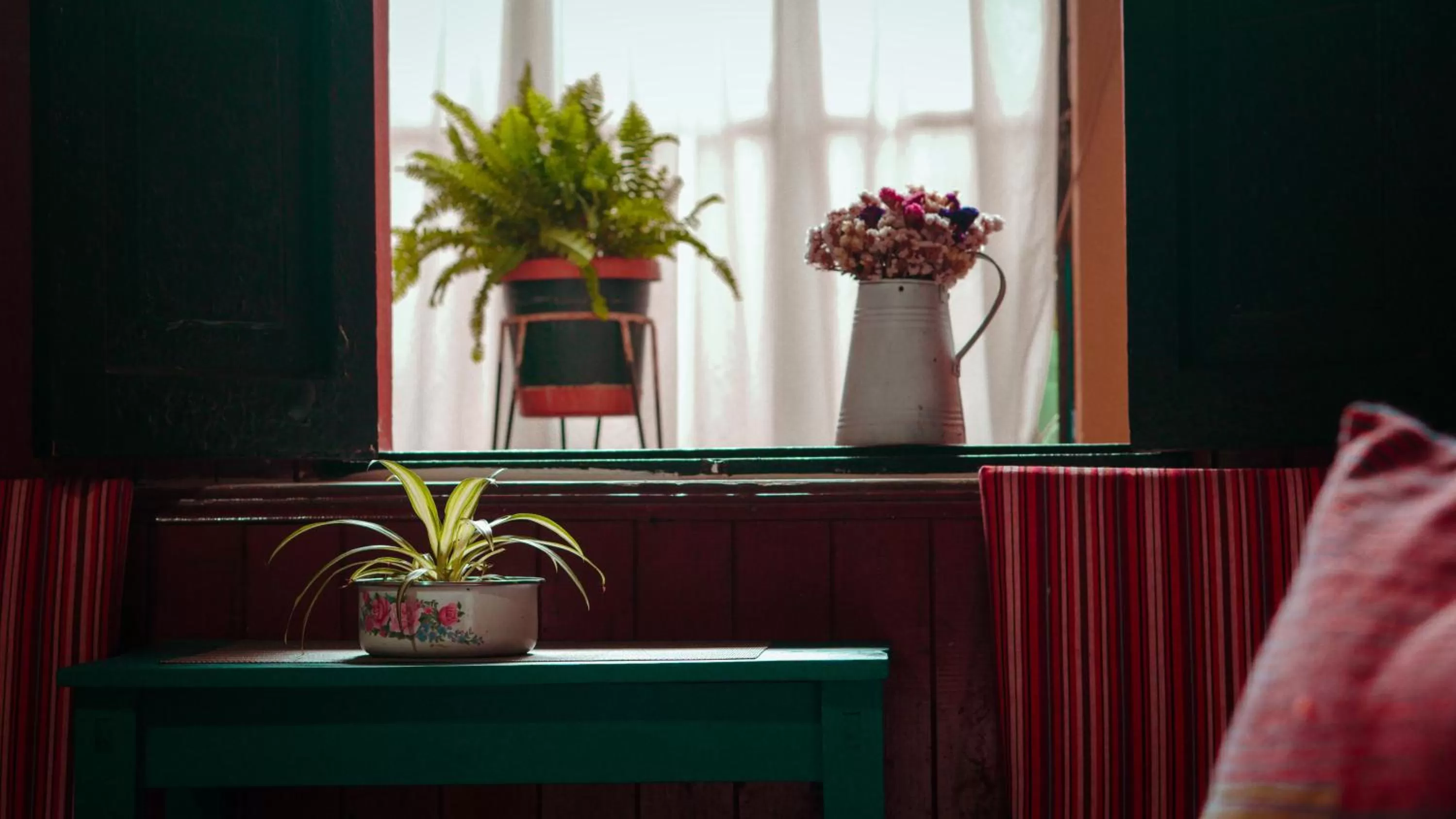 Living room in Casa Elizabeth