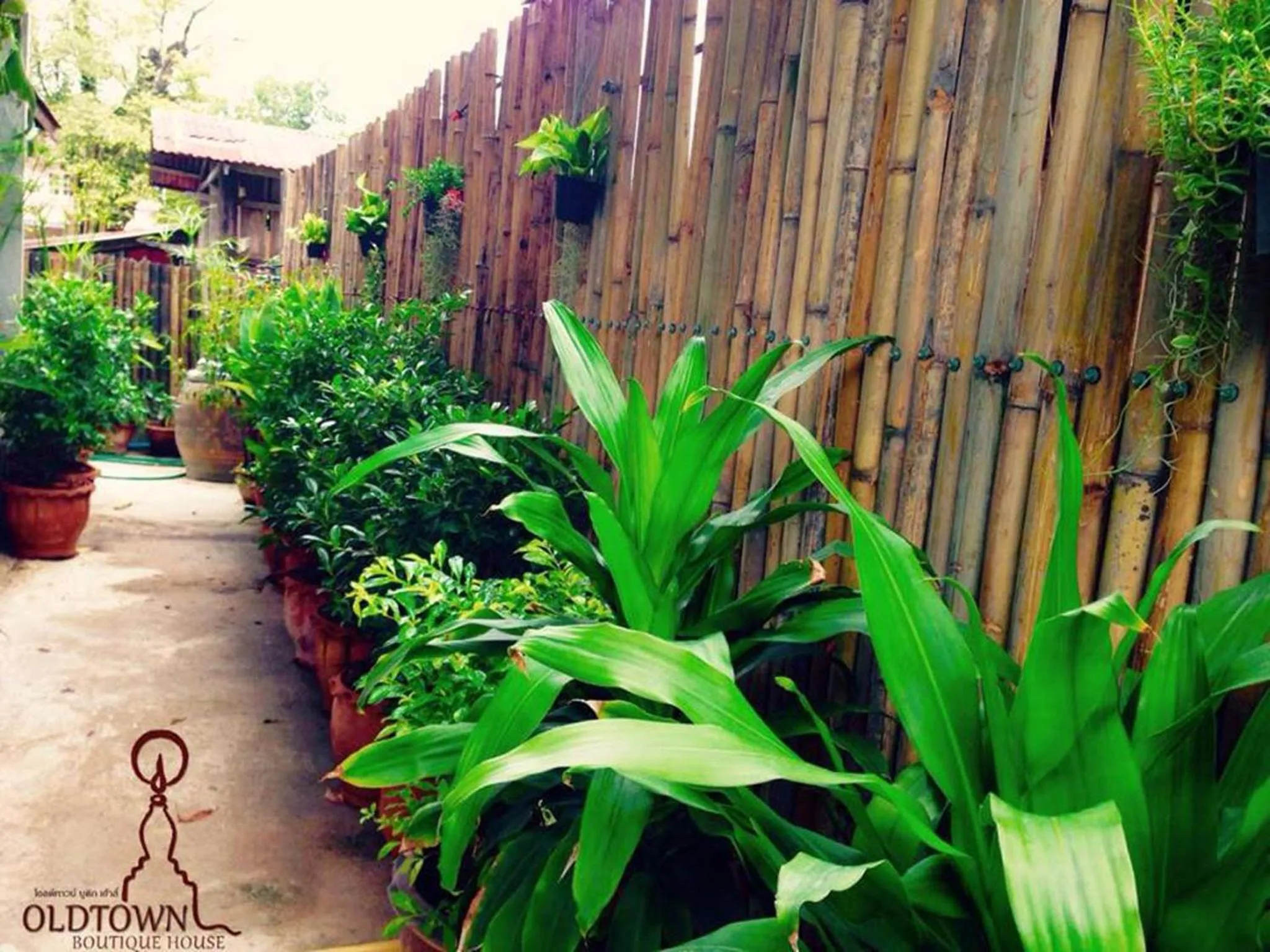 Garden in OldTown Boutique House Sukhothai