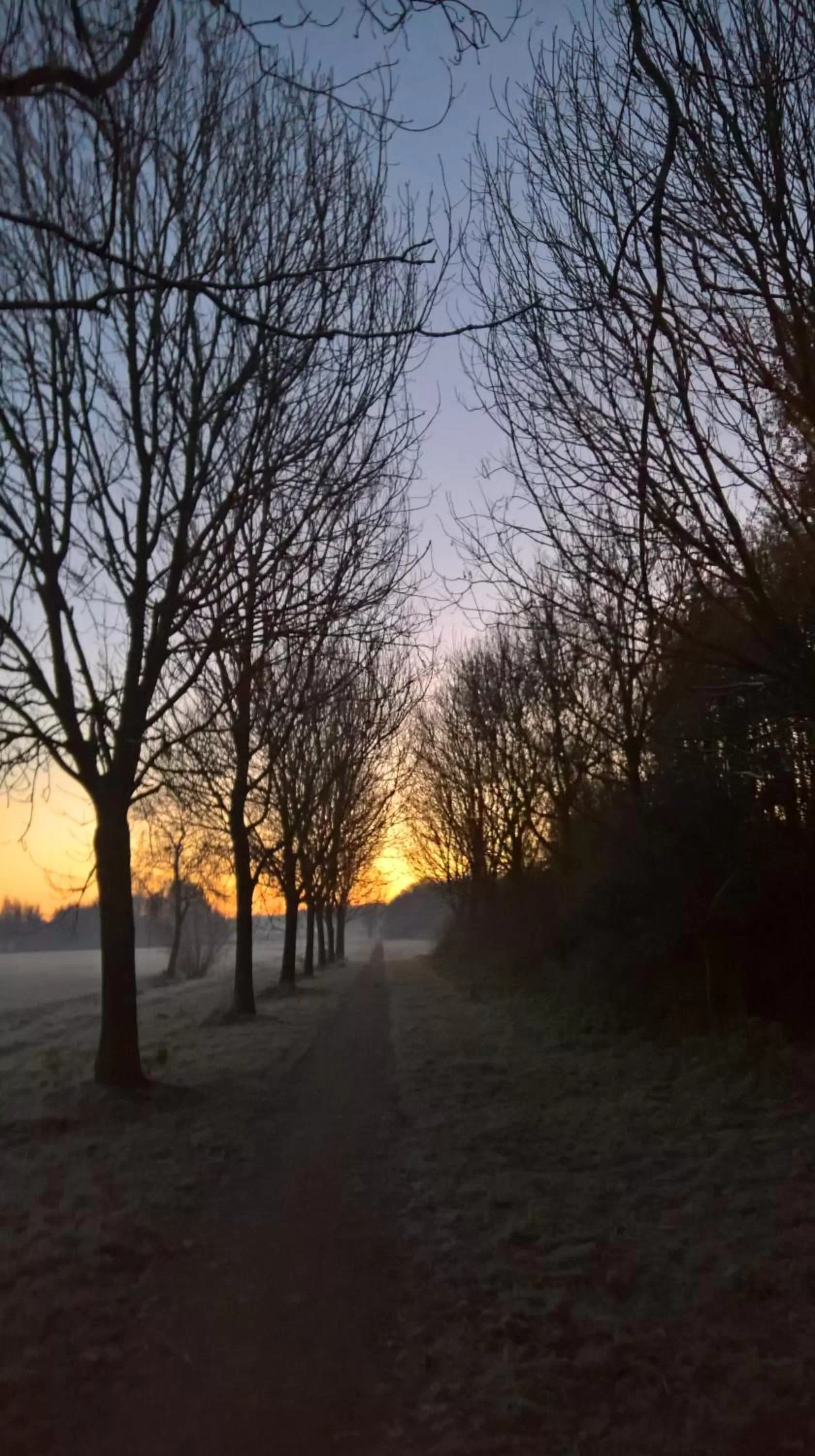 Natural landscape in Bed & Breakfast Boszicht Leeuwarden