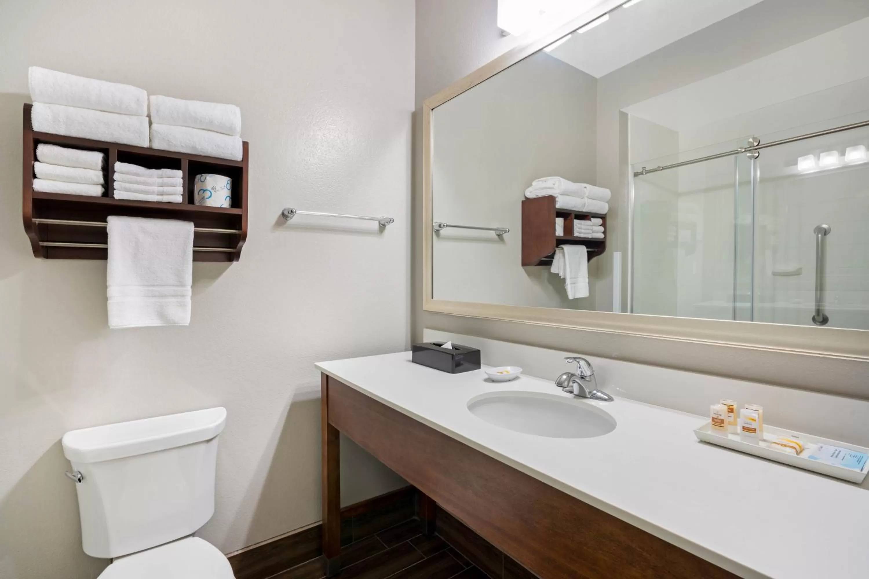 Bathroom in La Quinta by Wyndham Houston NW Beltway8/WestRD