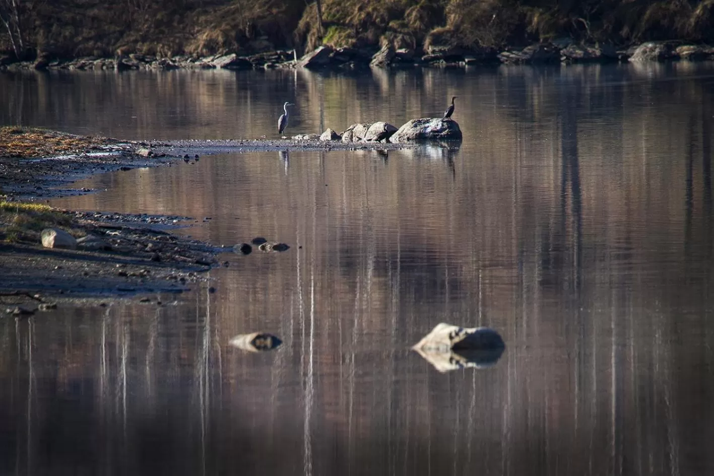 Hiking in Hotel Restaurant Les Brases