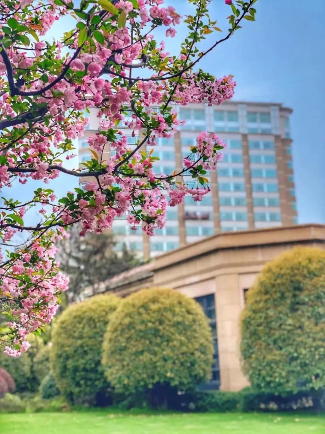 Radisson Collection Hotel, Xing Guo Shanghai