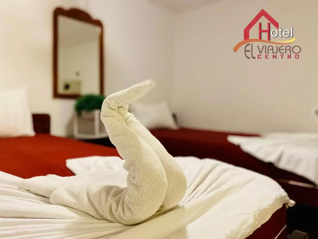 Quadruple Room with Bathroom in Hotel El Viajero Centro Quadruple Room with Bathroom in Hotel El Viajero Centro