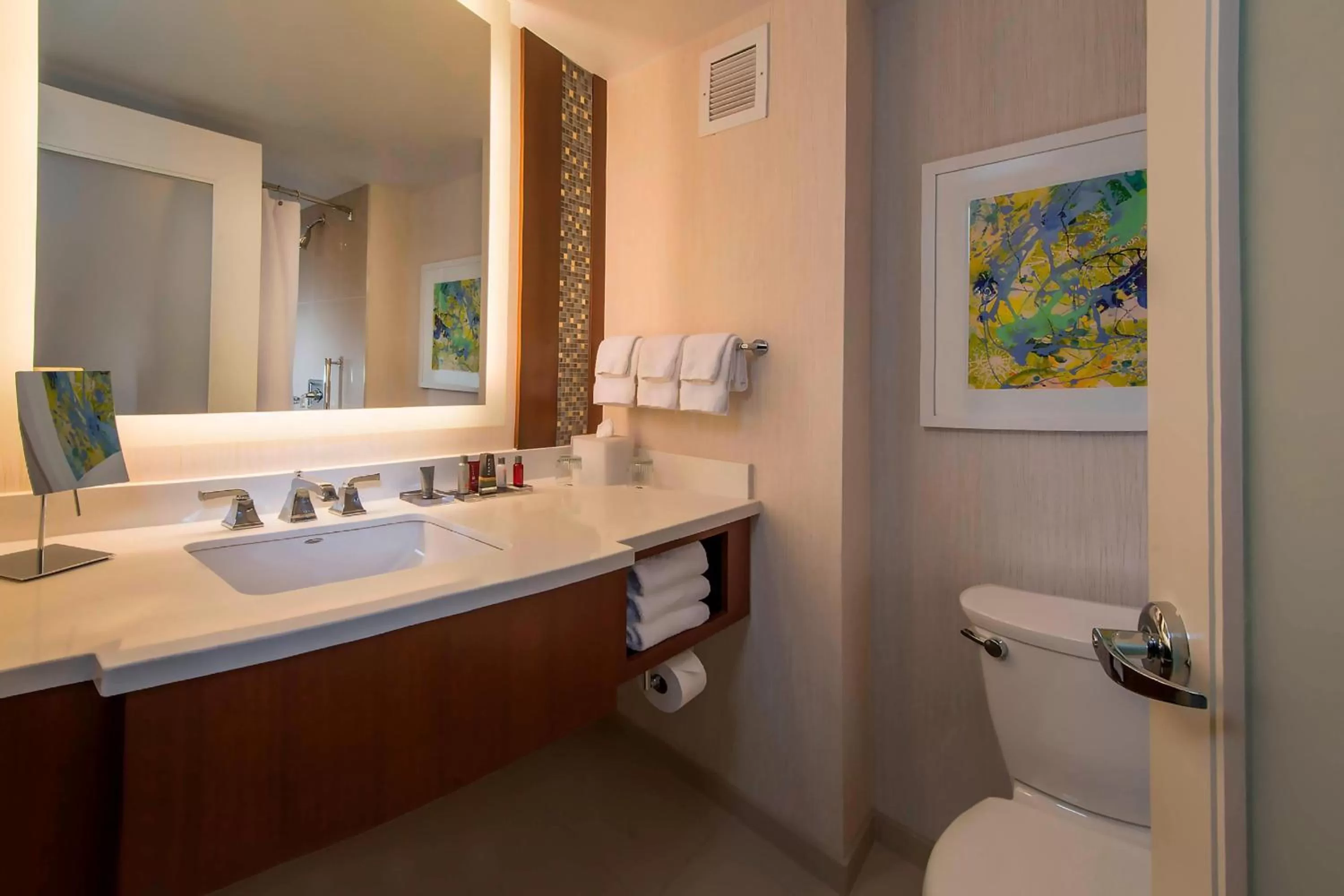 Bathroom in Marriott Marquis Washington, DC