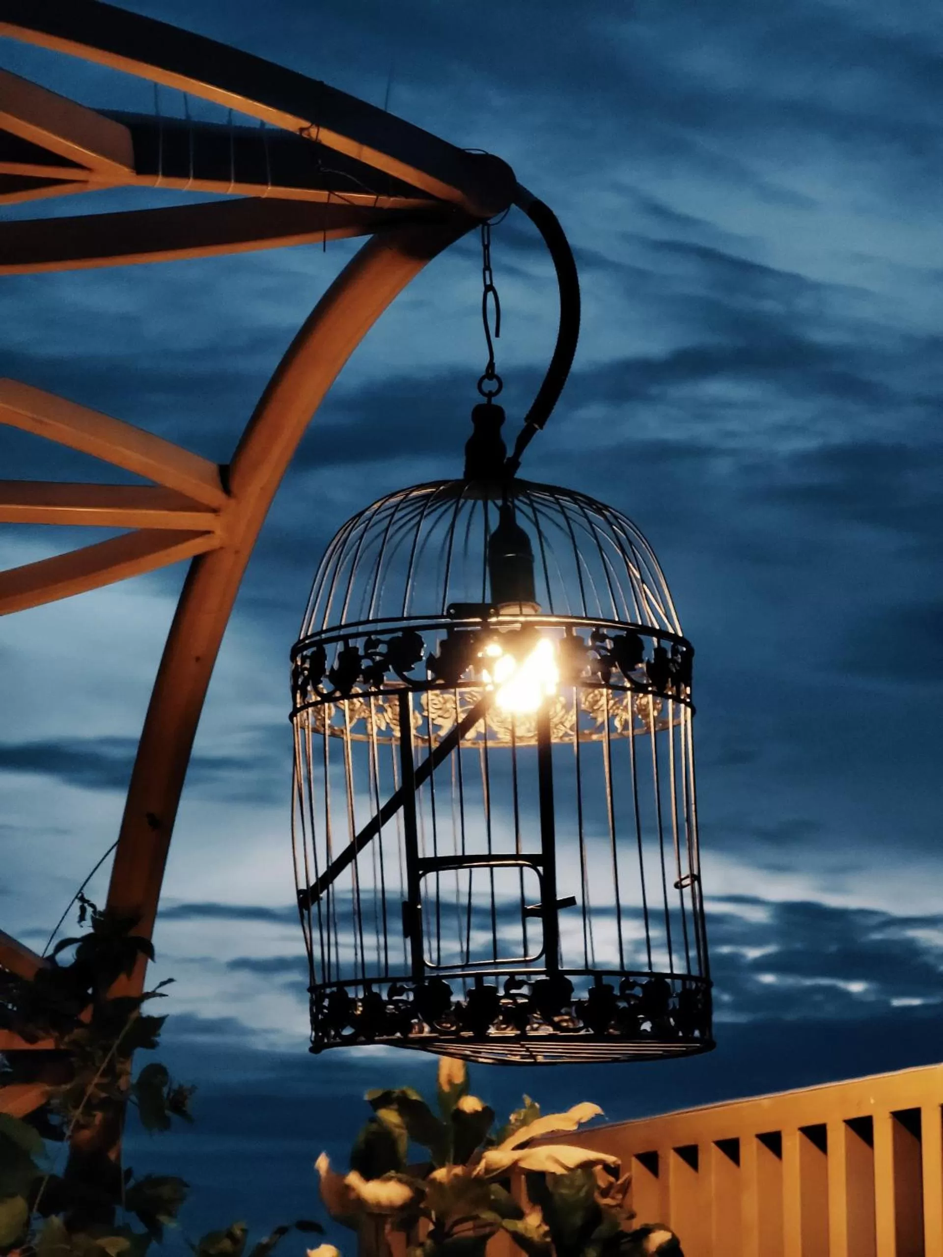 Night in Cactusland Boutique Hotel