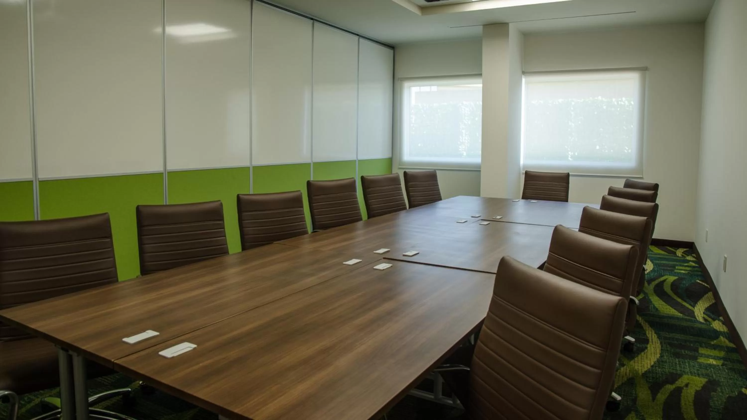 Meeting/conference room in Holiday Inn Express and Suites Celaya by IHG