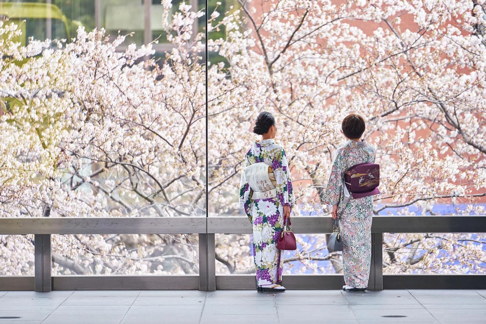 Spring in Hotel Gajoen Tokyo