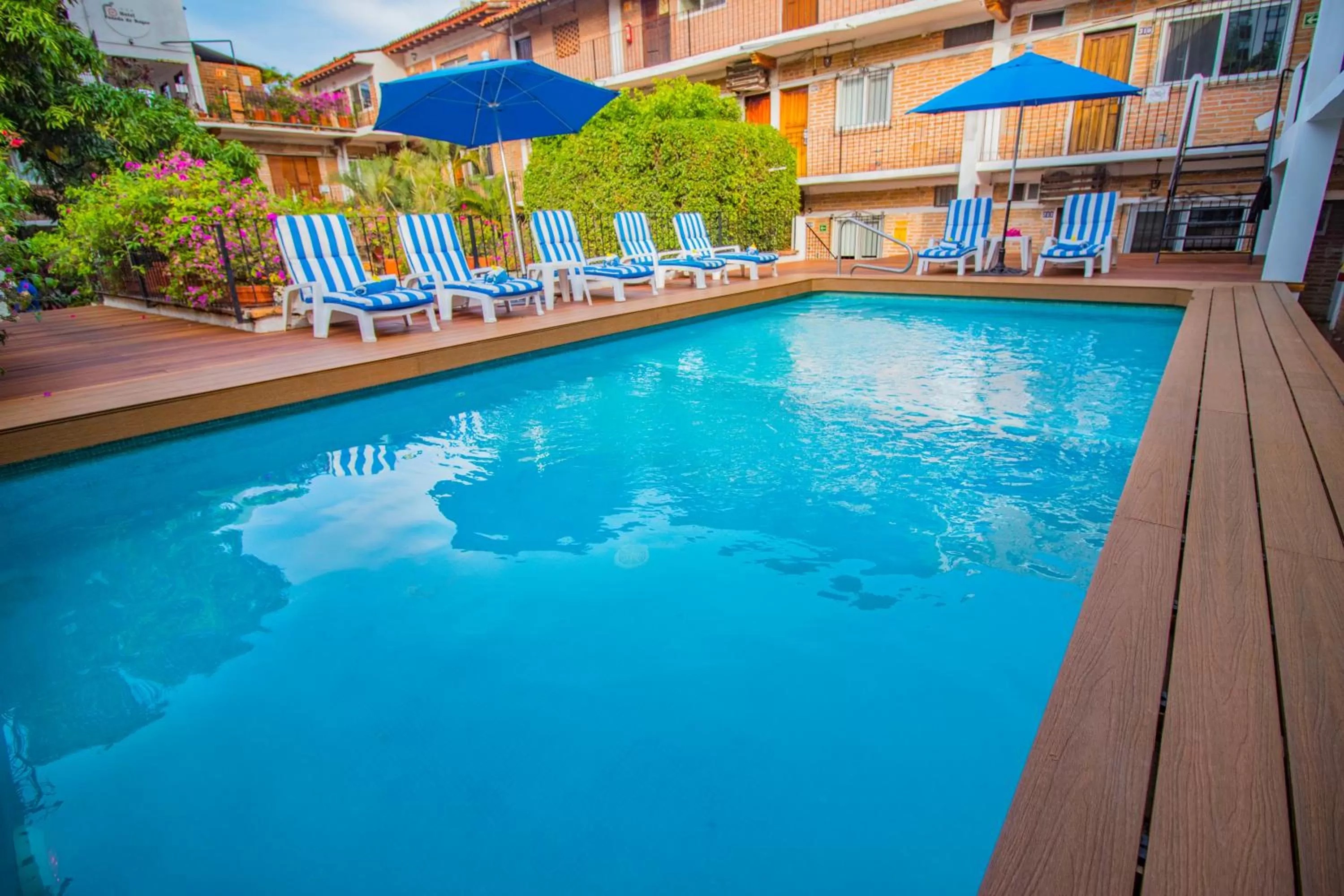 Pool view in Hotel Posada De Roger - Near Los Muertos Beach