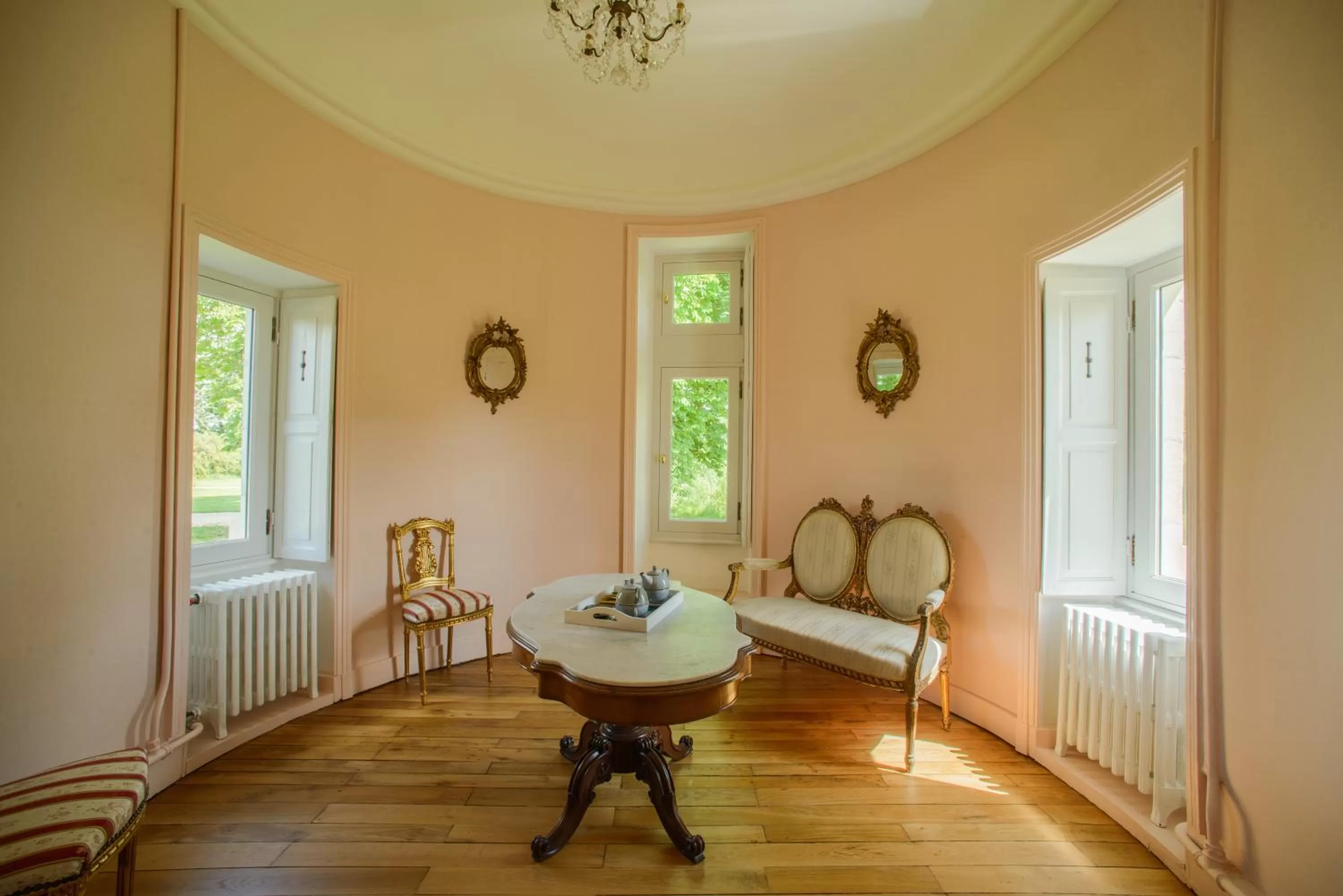 Living room in Château Origny - Moulins