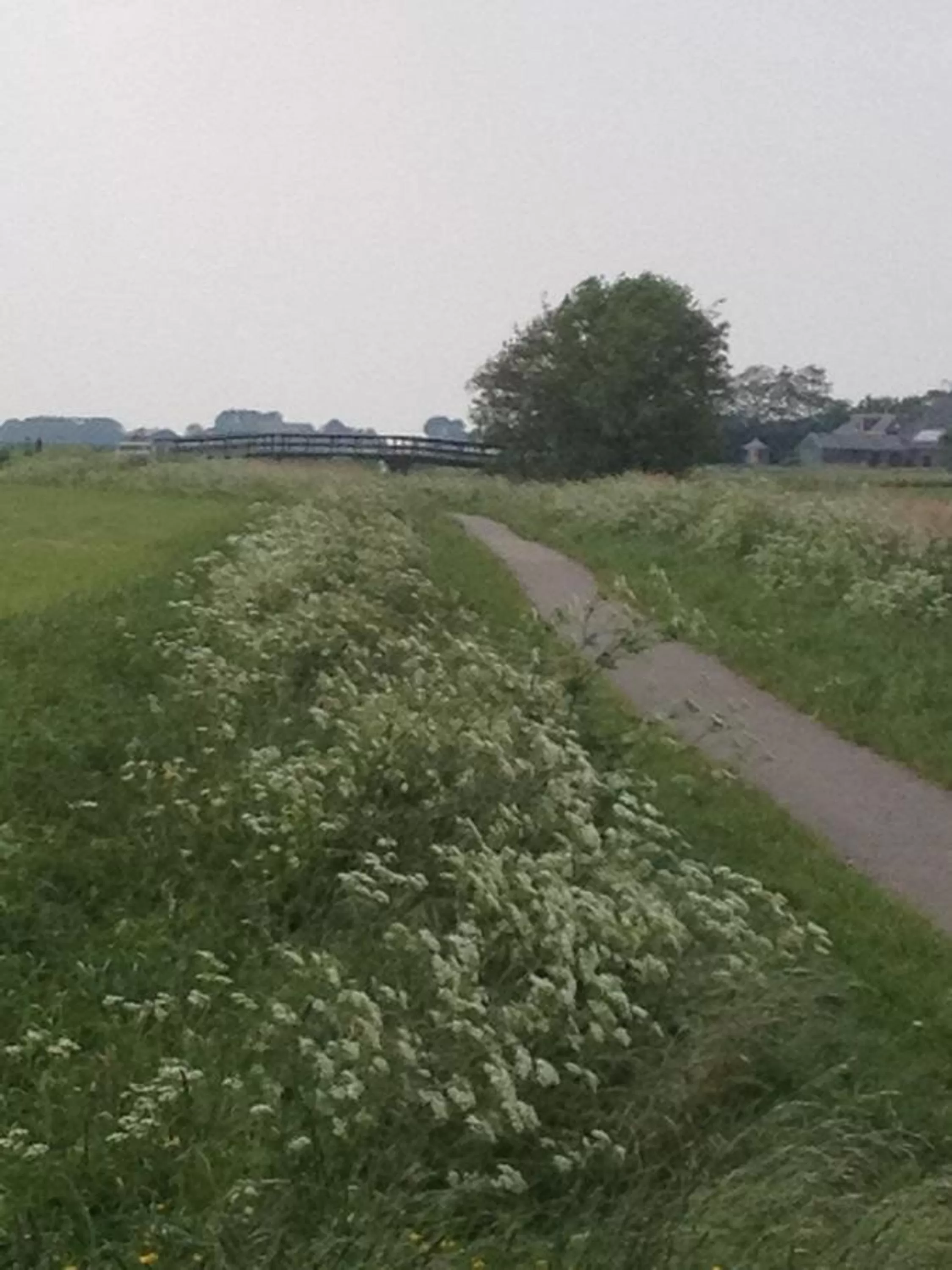 Natural landscape in 't Laaisterplakky