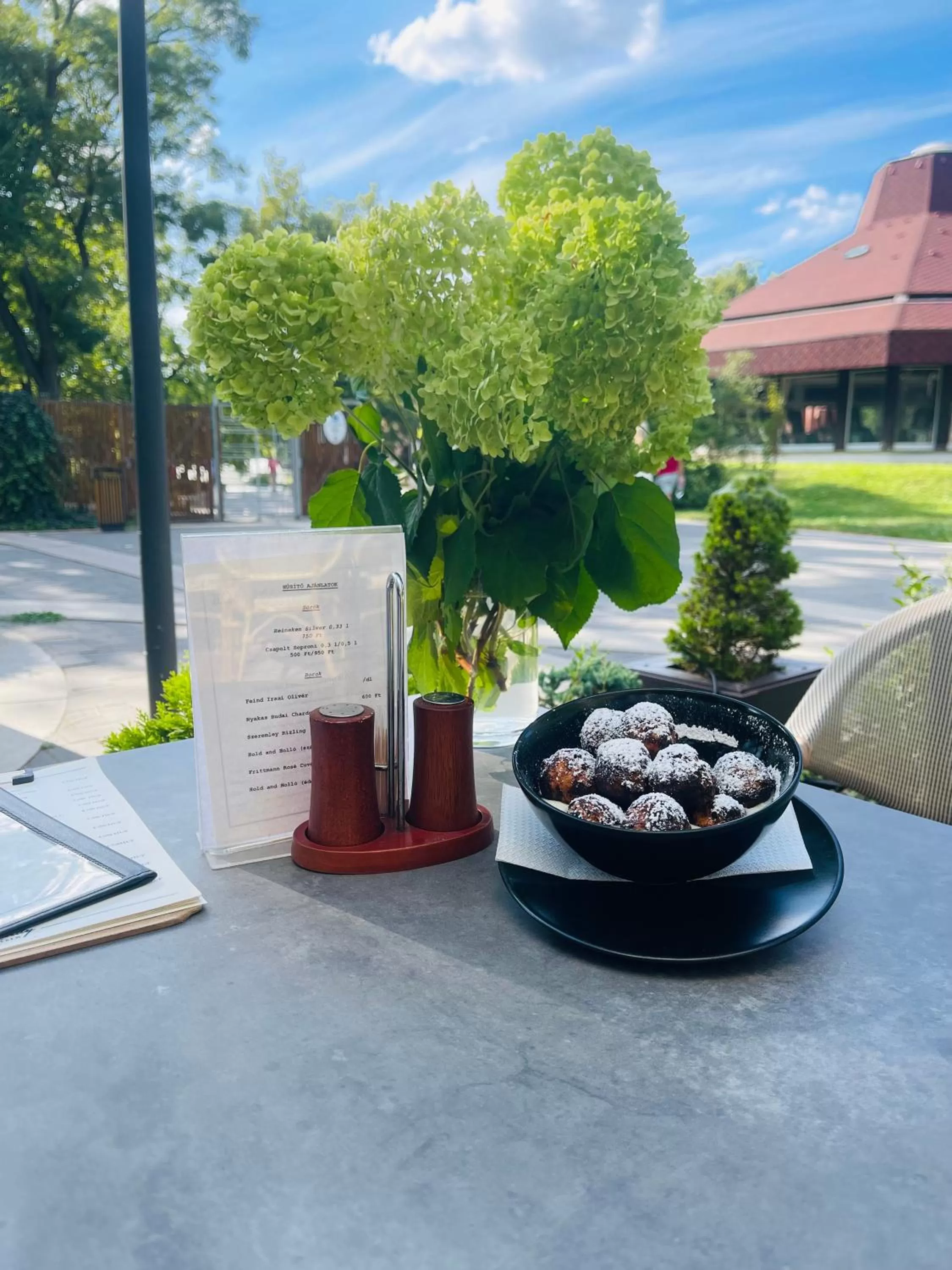 Restaurant/places to eat in Villa Hotel