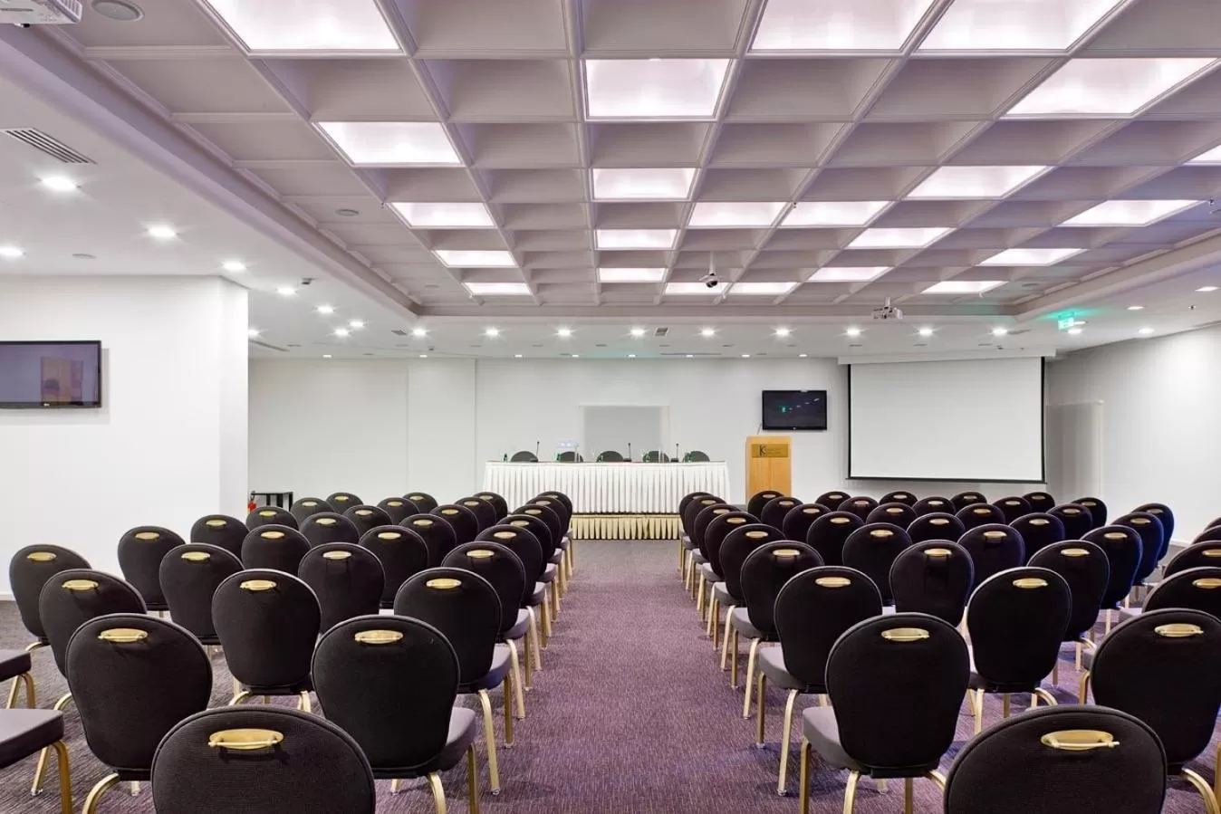 Business facilities in Kalavrita Canyon Hotel & Spa