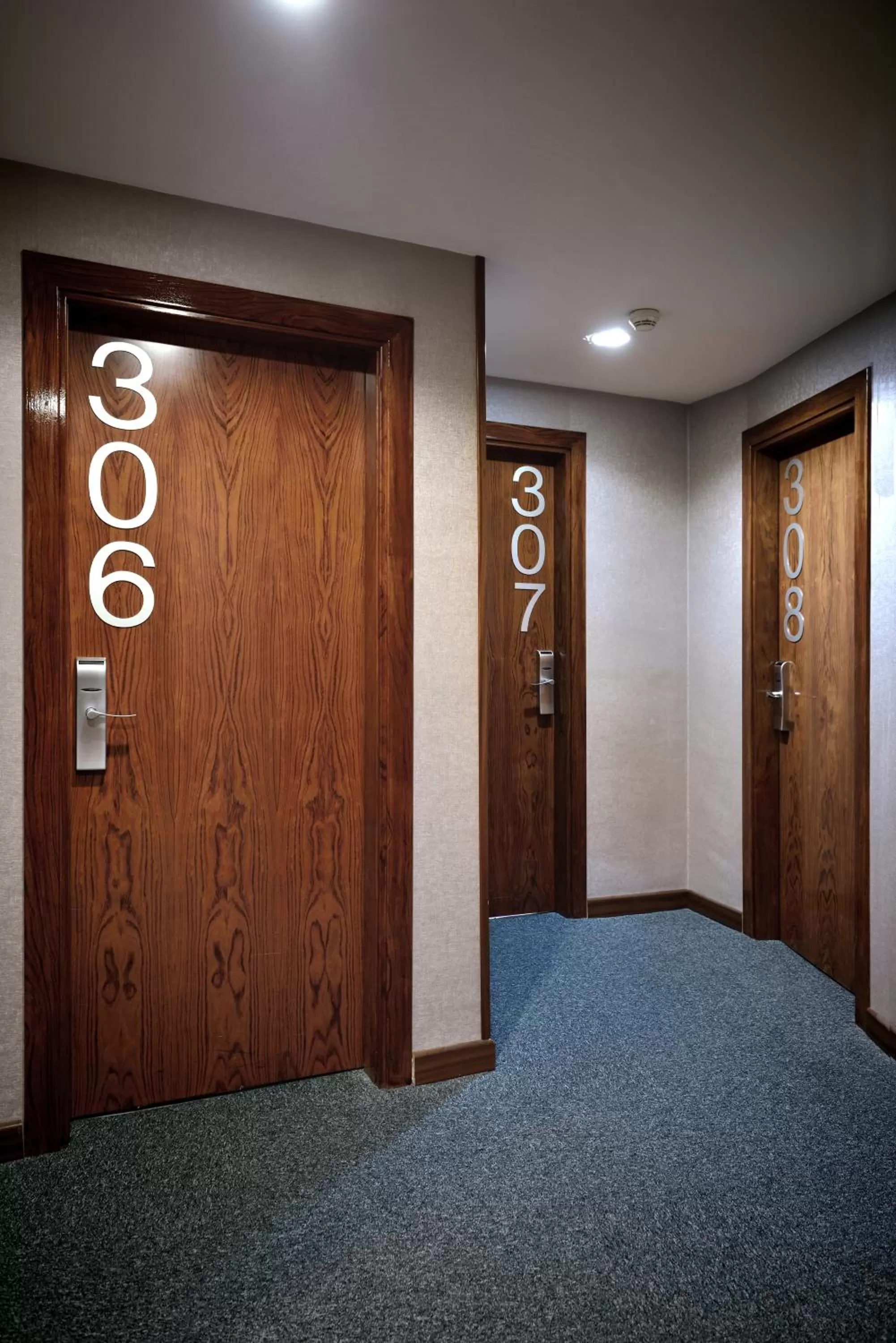 Decorative detail, Property Logo/Sign in Hotel HLG CityPark Pelayo