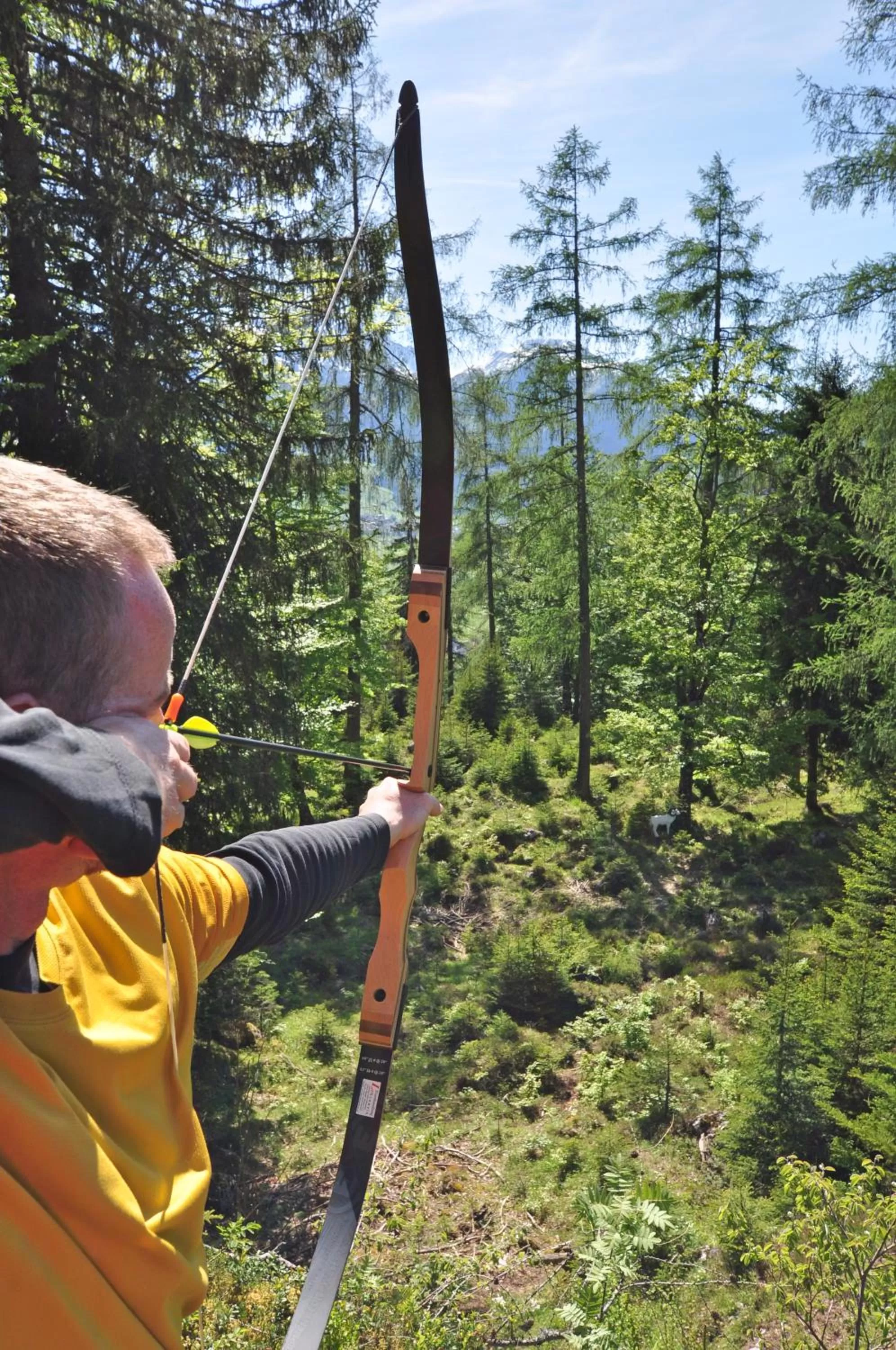 Sports, Other Activities in Hotel Alpen Residence