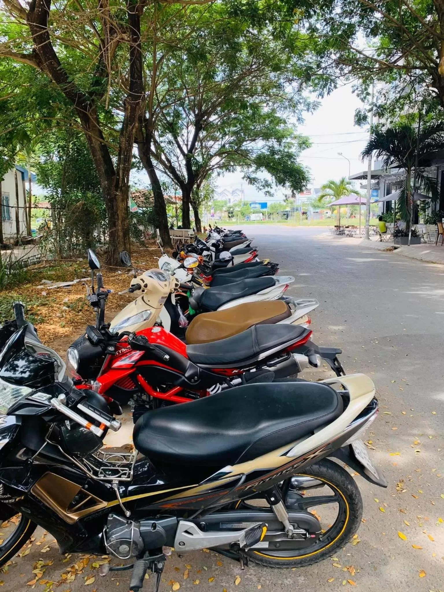 MIS HOSTEL Cần Thơ