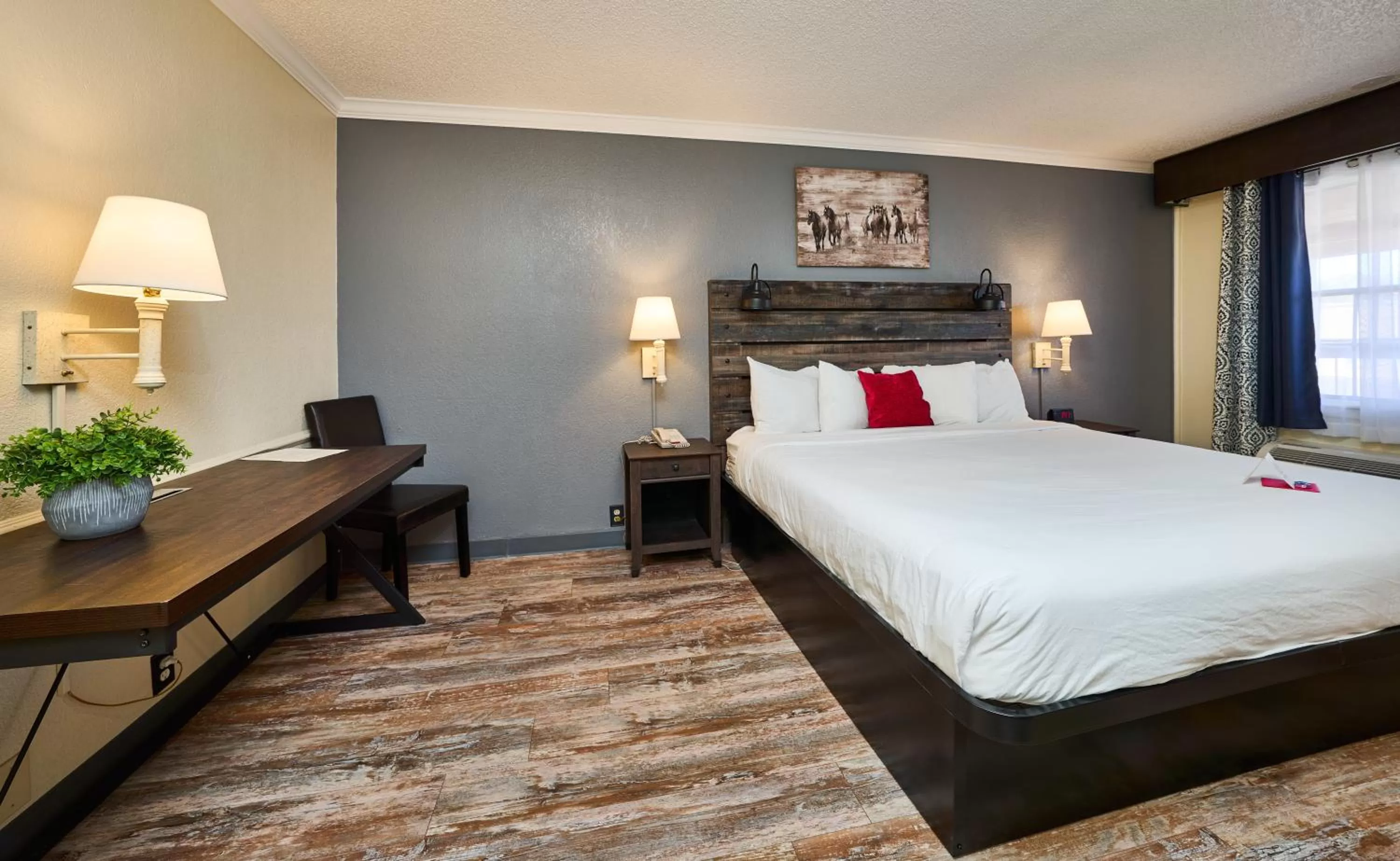 Photo of the whole room in San Mateo Inn