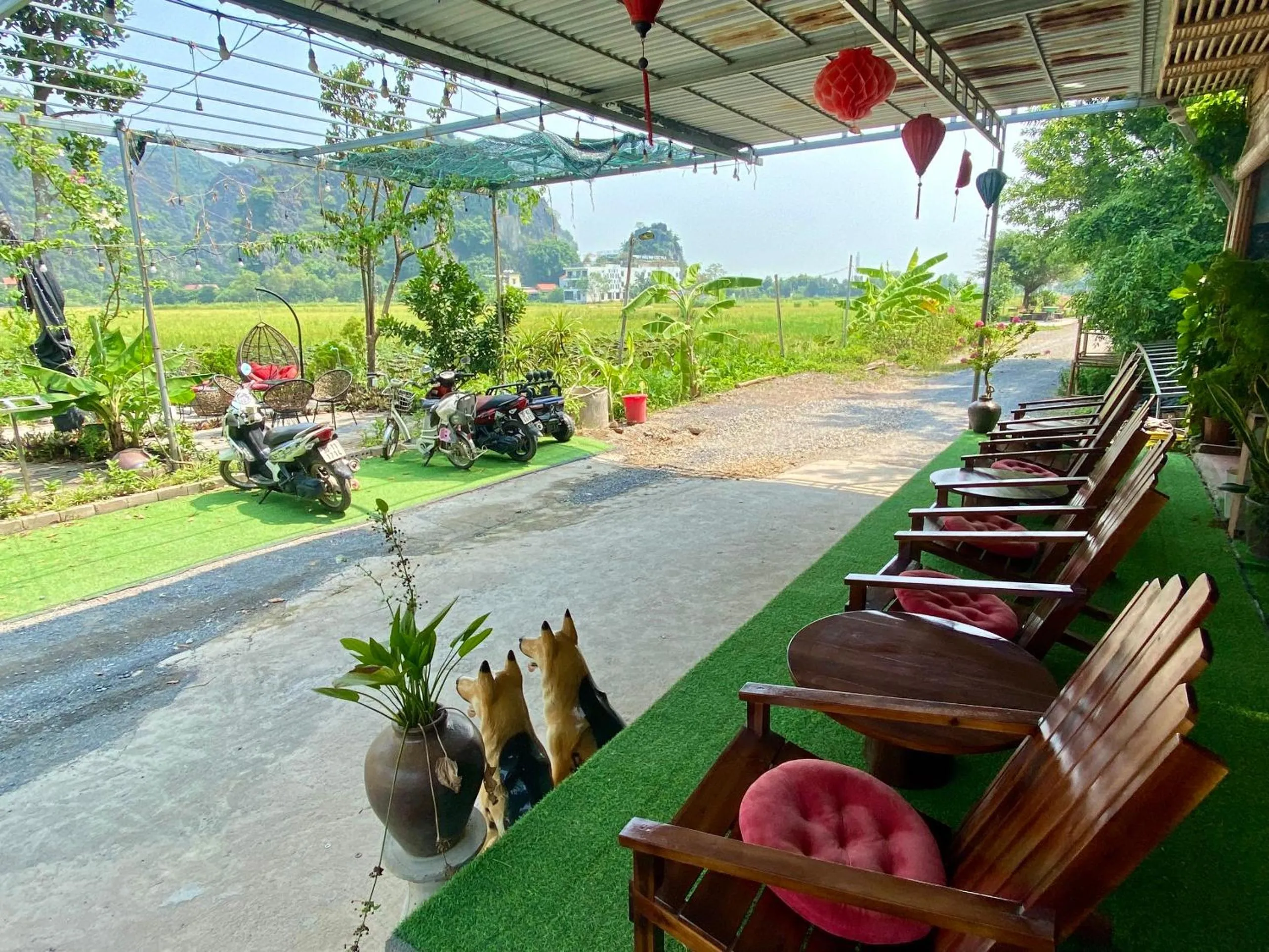 Tam Coc Mountain View Homestay