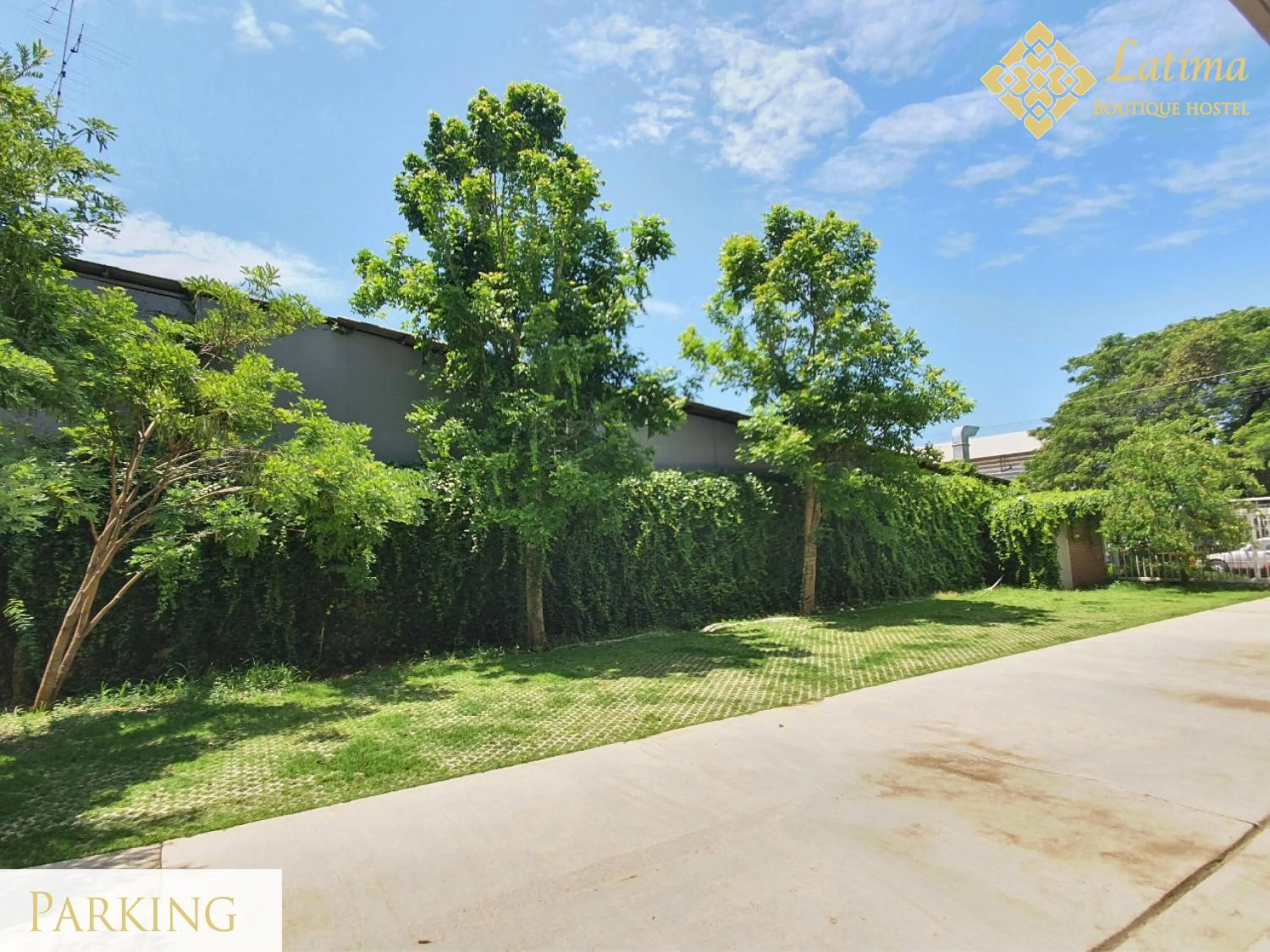 Garden in Latima Boutique Hostel