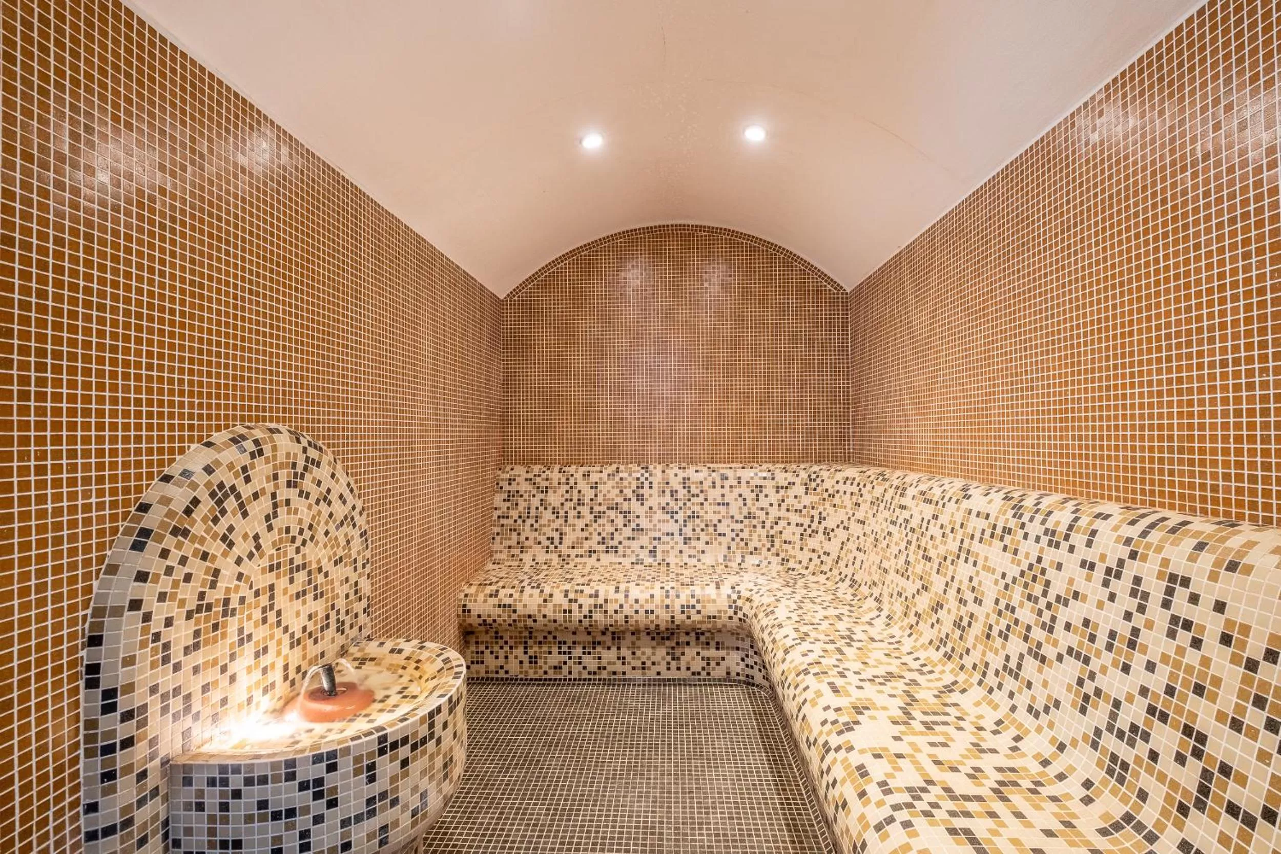 Steam room in Park Hotel Asenevtsi