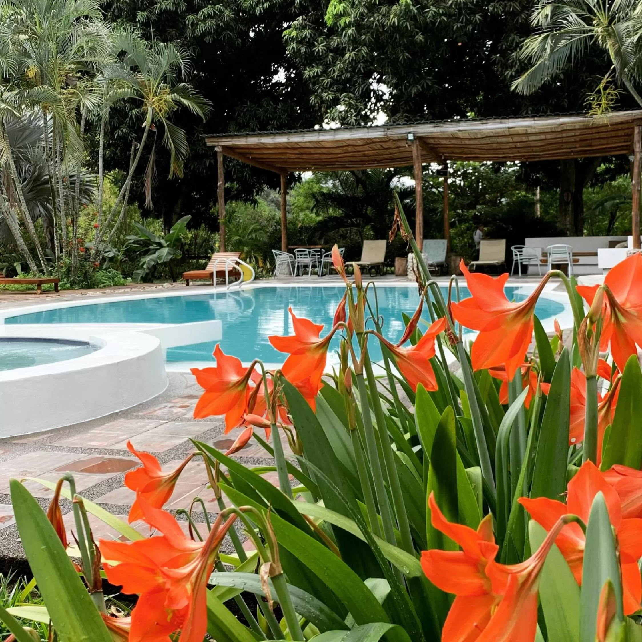 Pool view, Swimming Pool in Waka Hotel Rural